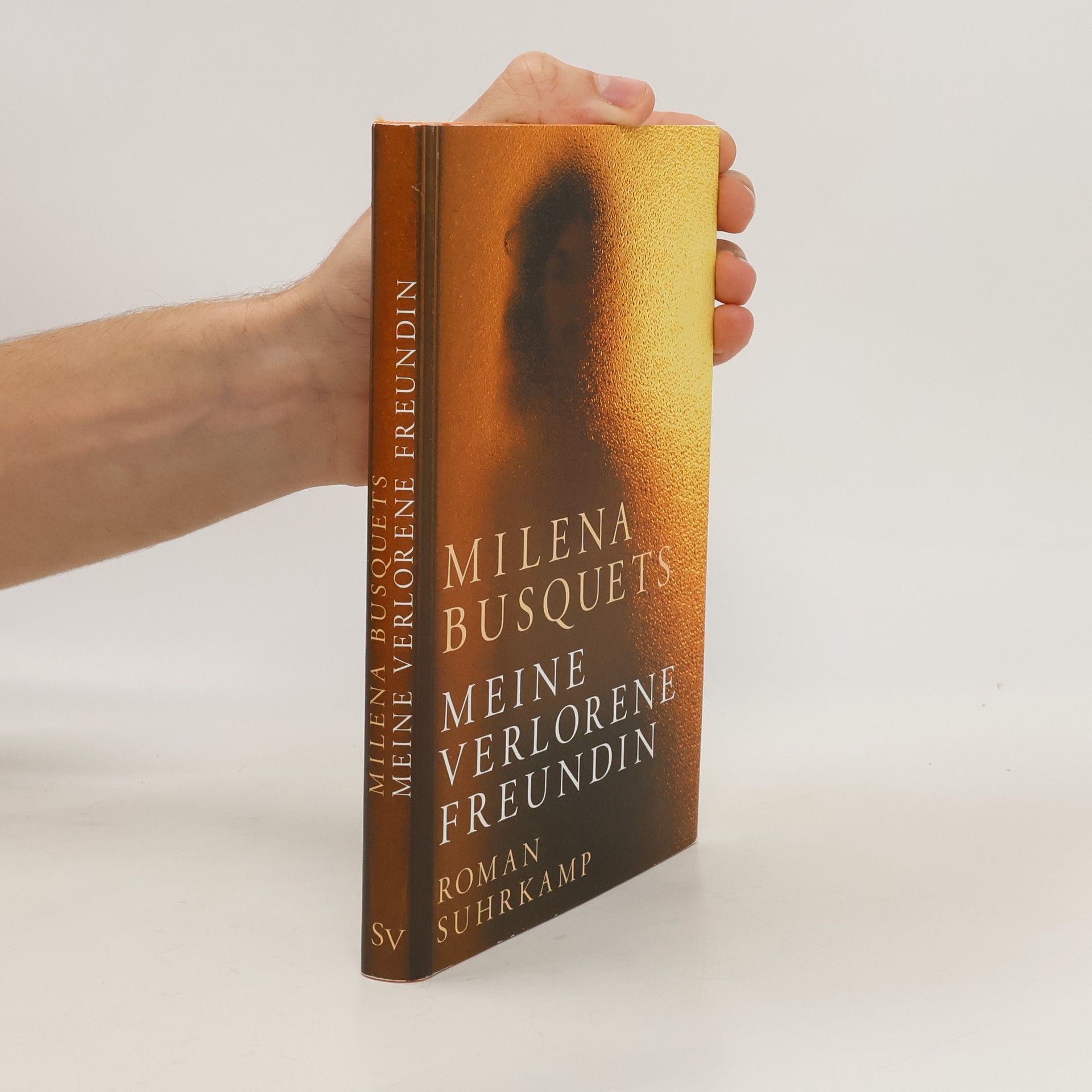 Milena Busquets Meine verlorene Freundin