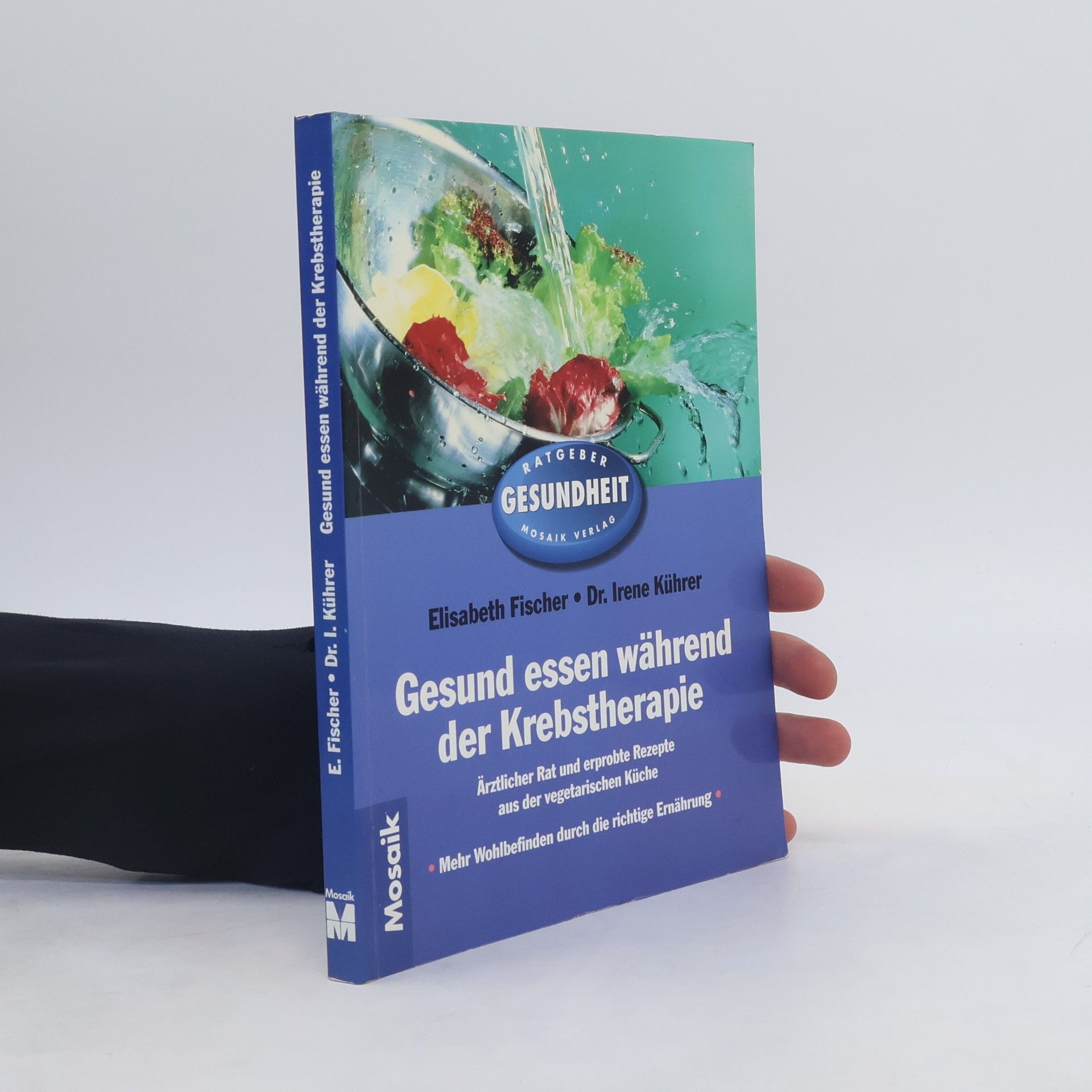Elisabeth Fischer-Junghann Gesund essen während der Krebstherapie