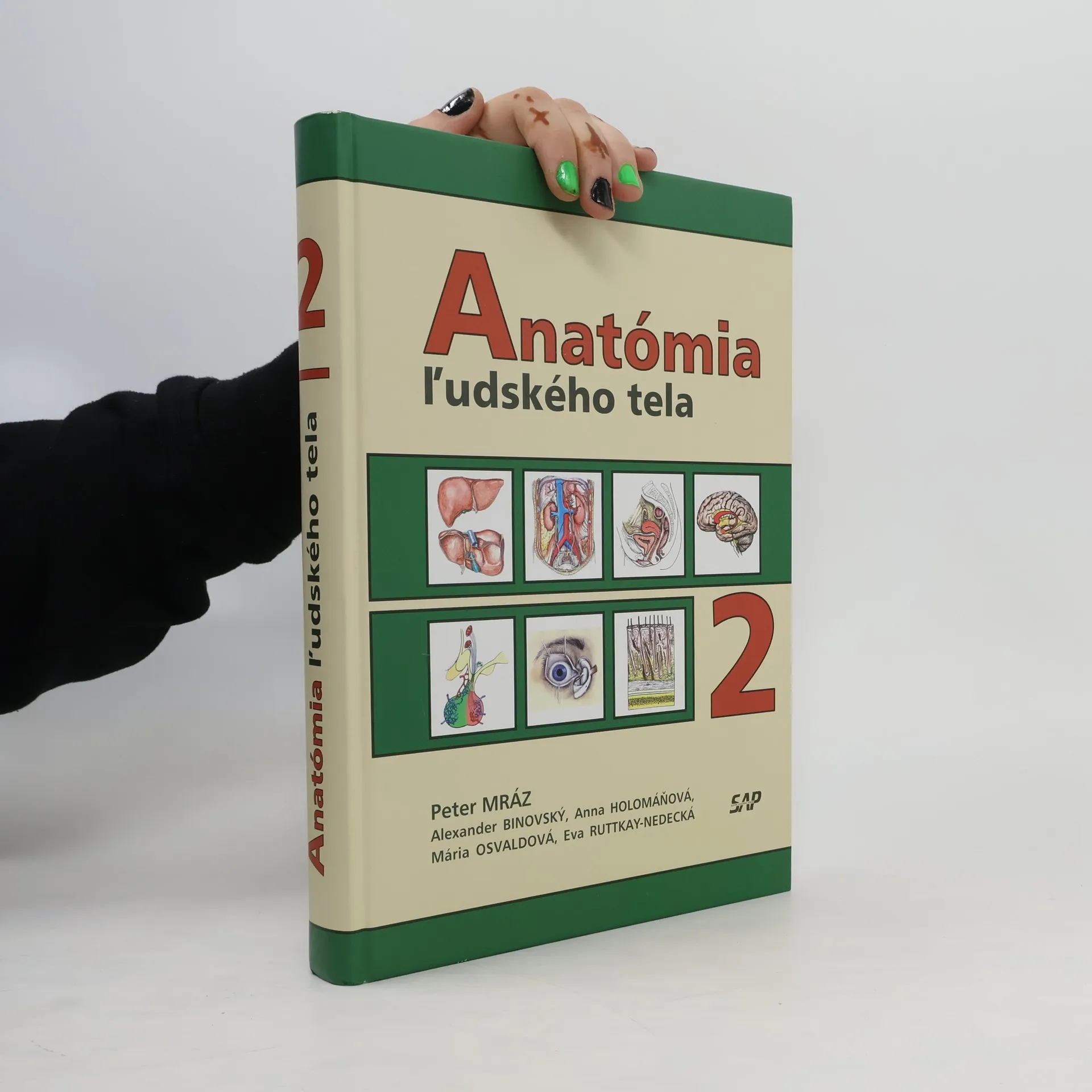 Anatómia ľudského tela 2 | Kniha | pevná | Peter Mráz