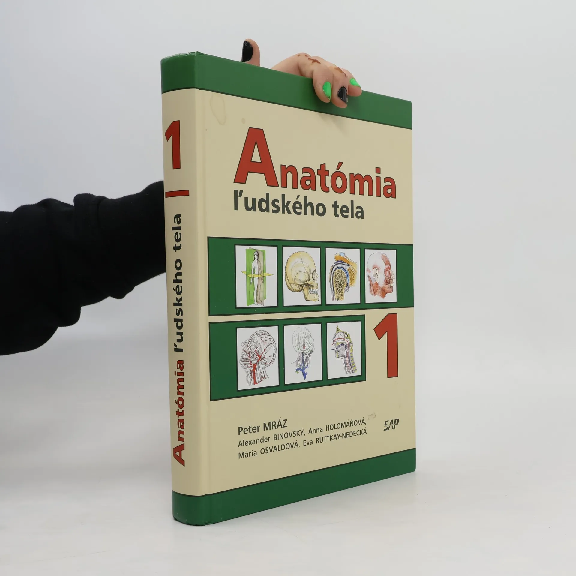 Anatómia ľudského tela 1 | Kniha | pevná | Peter Mráz