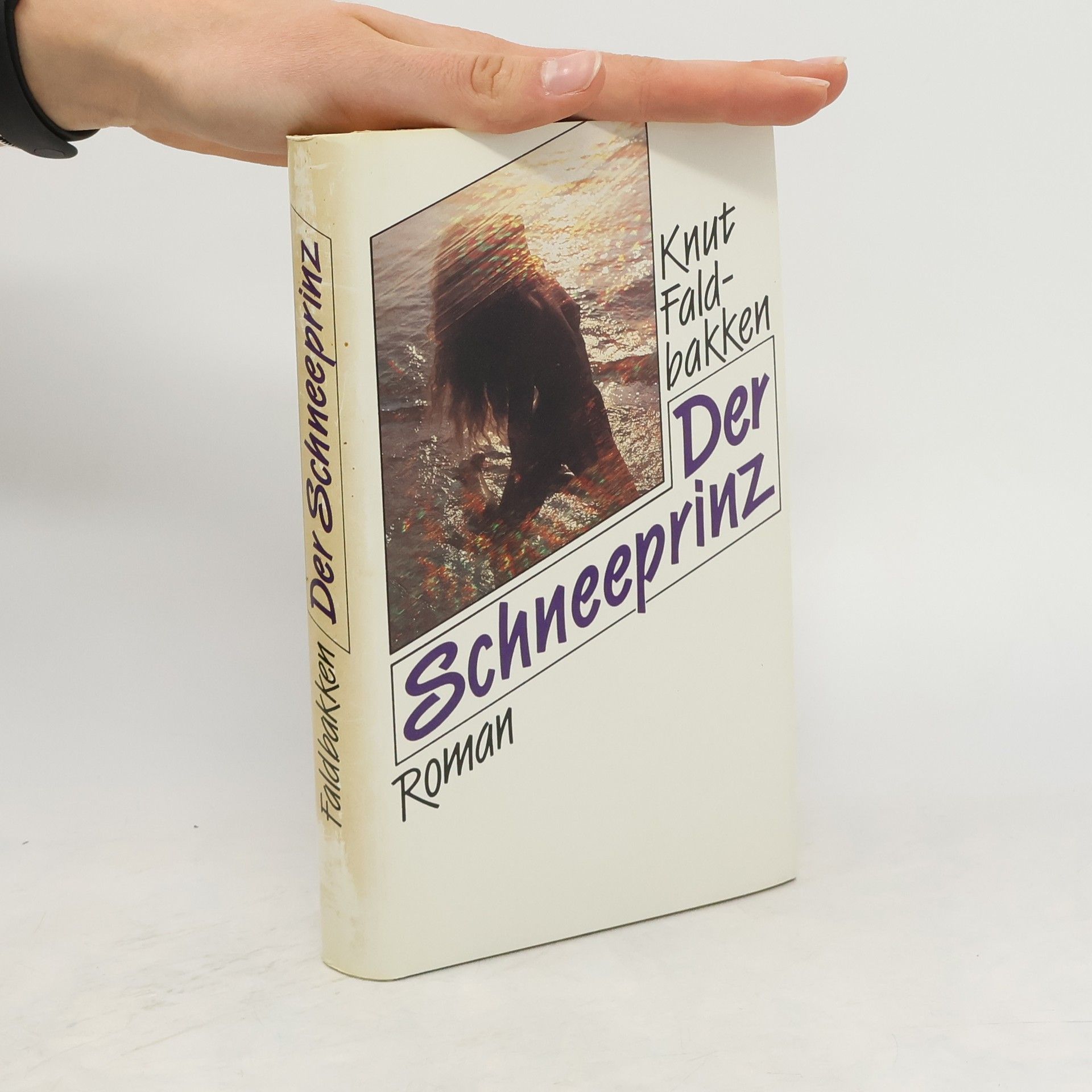 Knut Faldbakken Der Schneeprinz