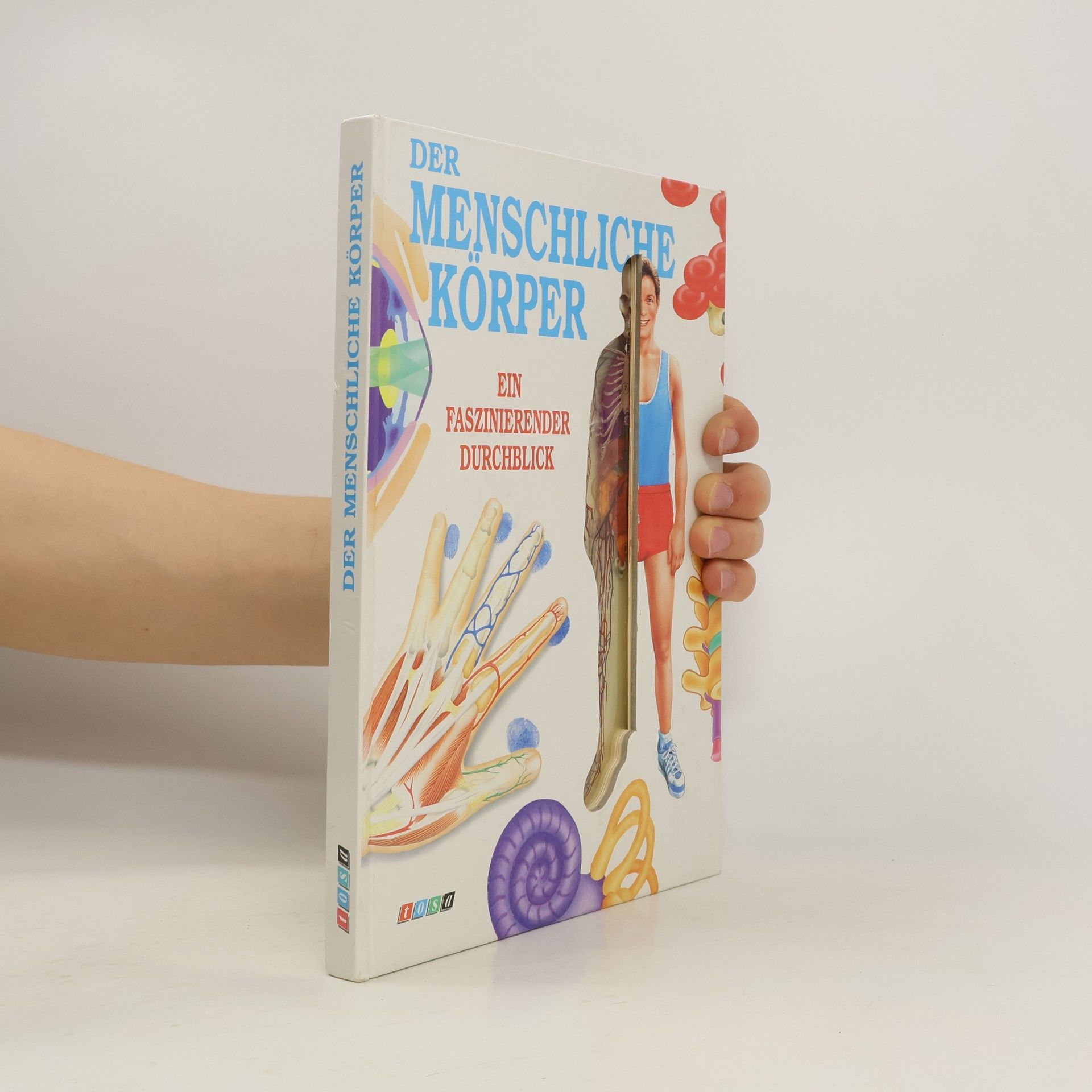 kolektiv Der menschliche Körper