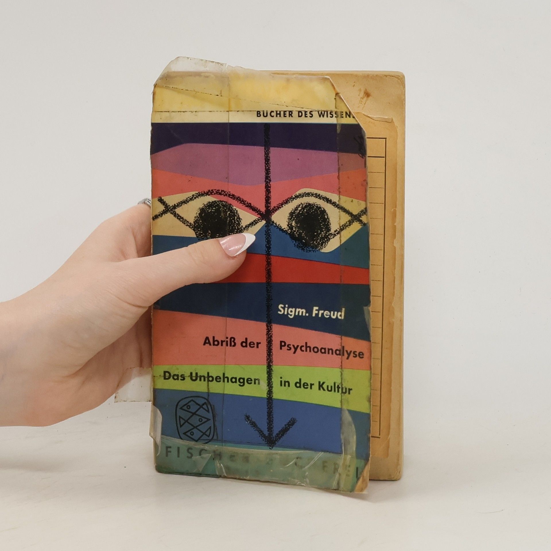 Sigmund Freud Abriß der Psychoanalyse Das Unbehagen in der Kultur