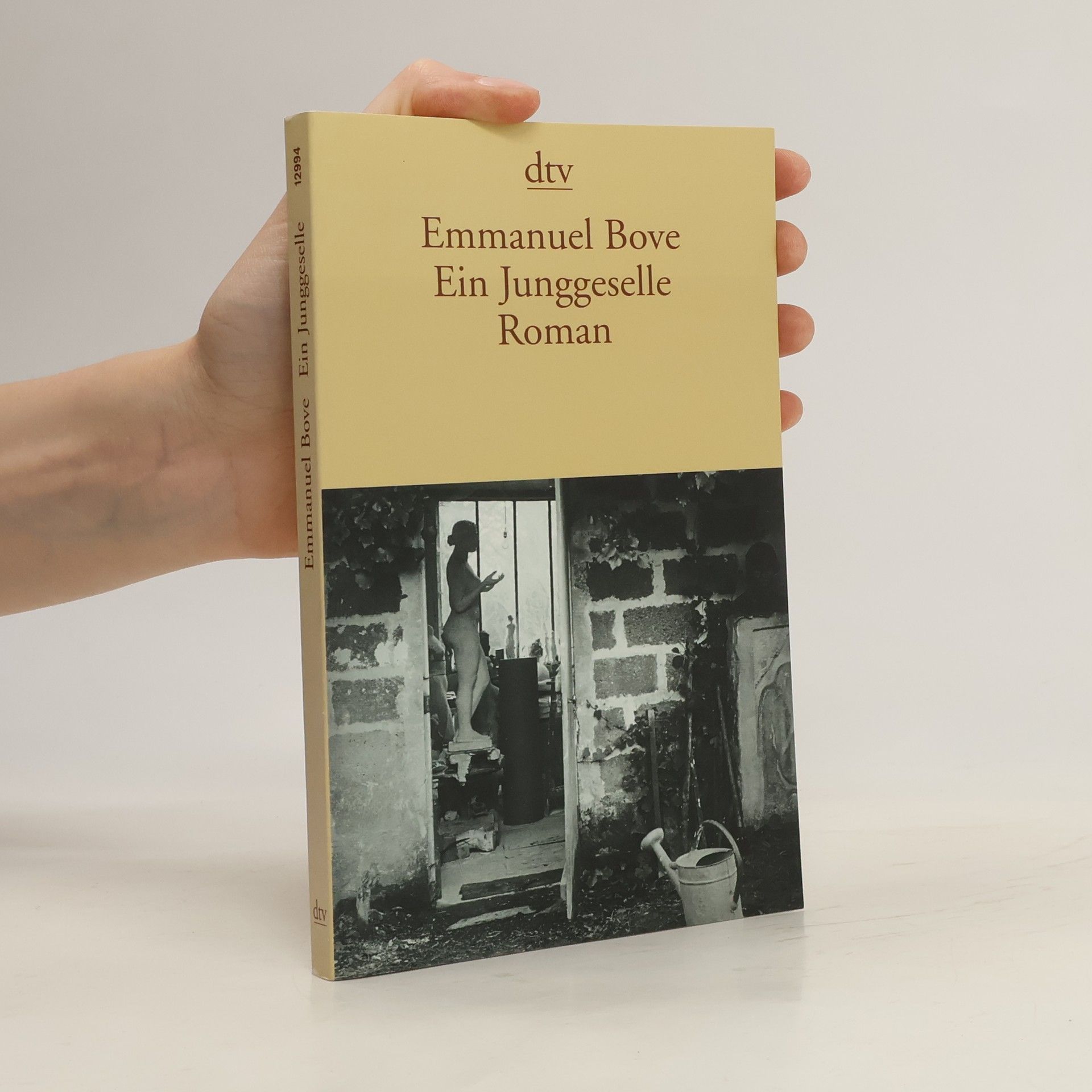 Emmanuel Bove Ein Junggeselle Roman