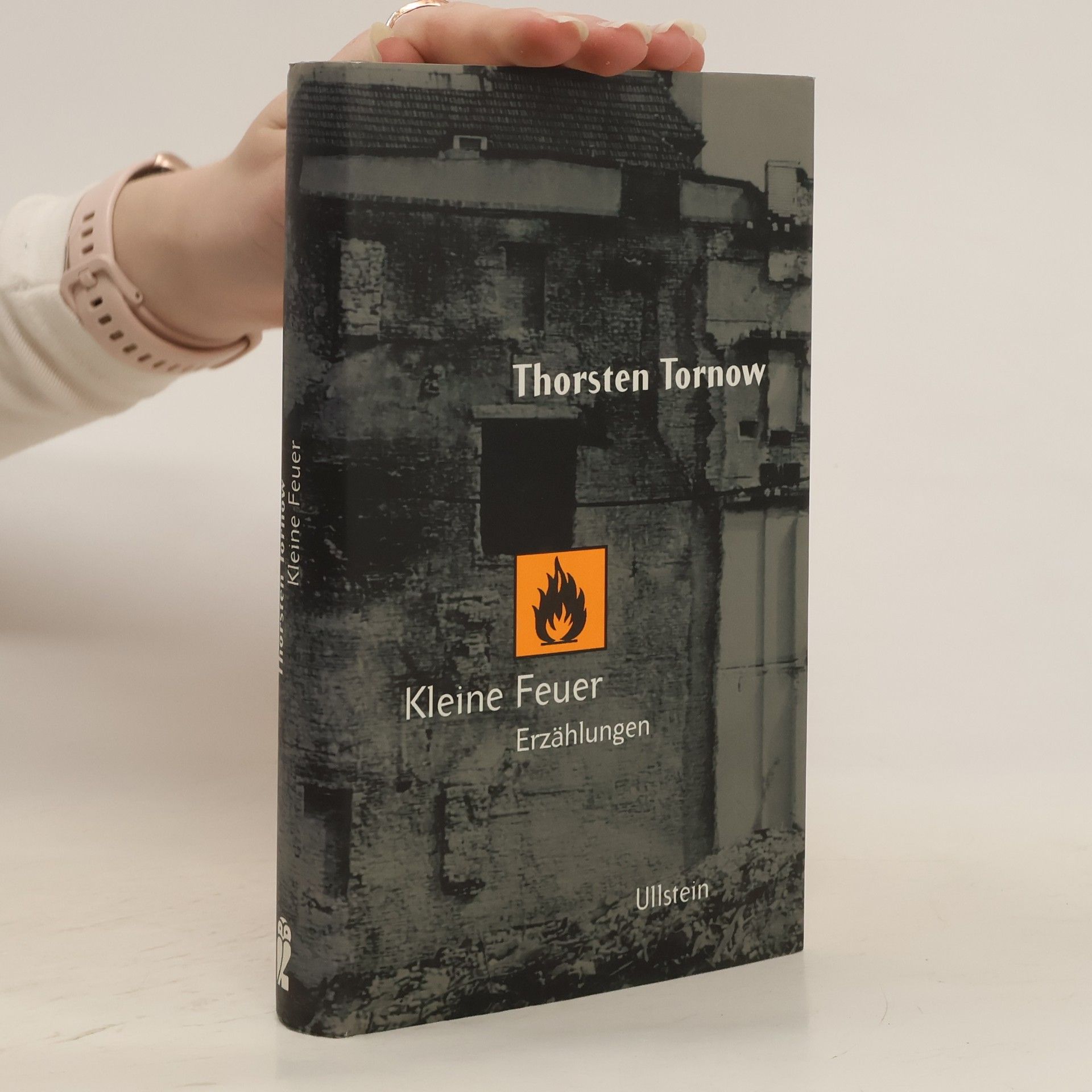 Thorsten Tornow Kleine Feuer Erzahlungen