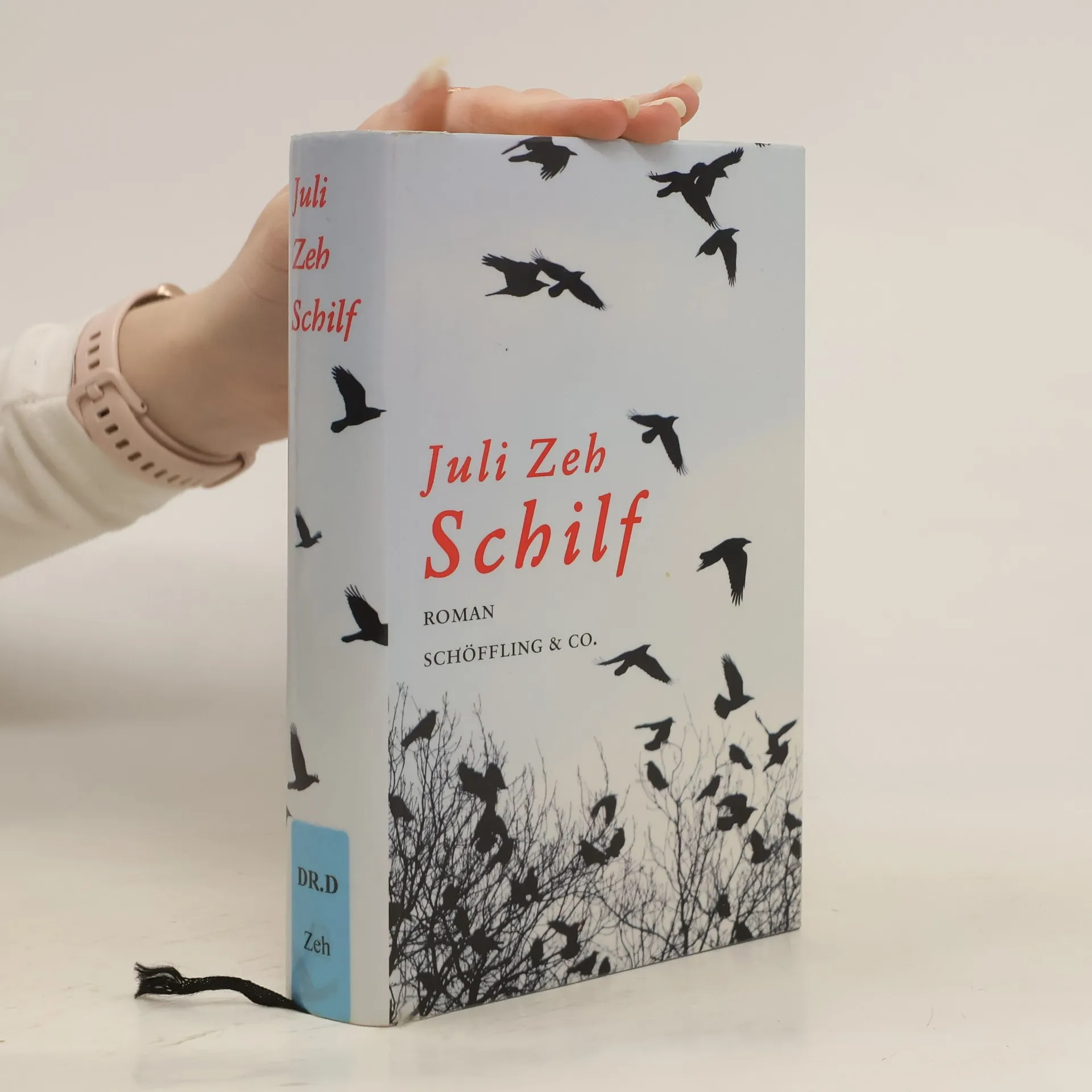 Schilf | Buch | Juli Zeh