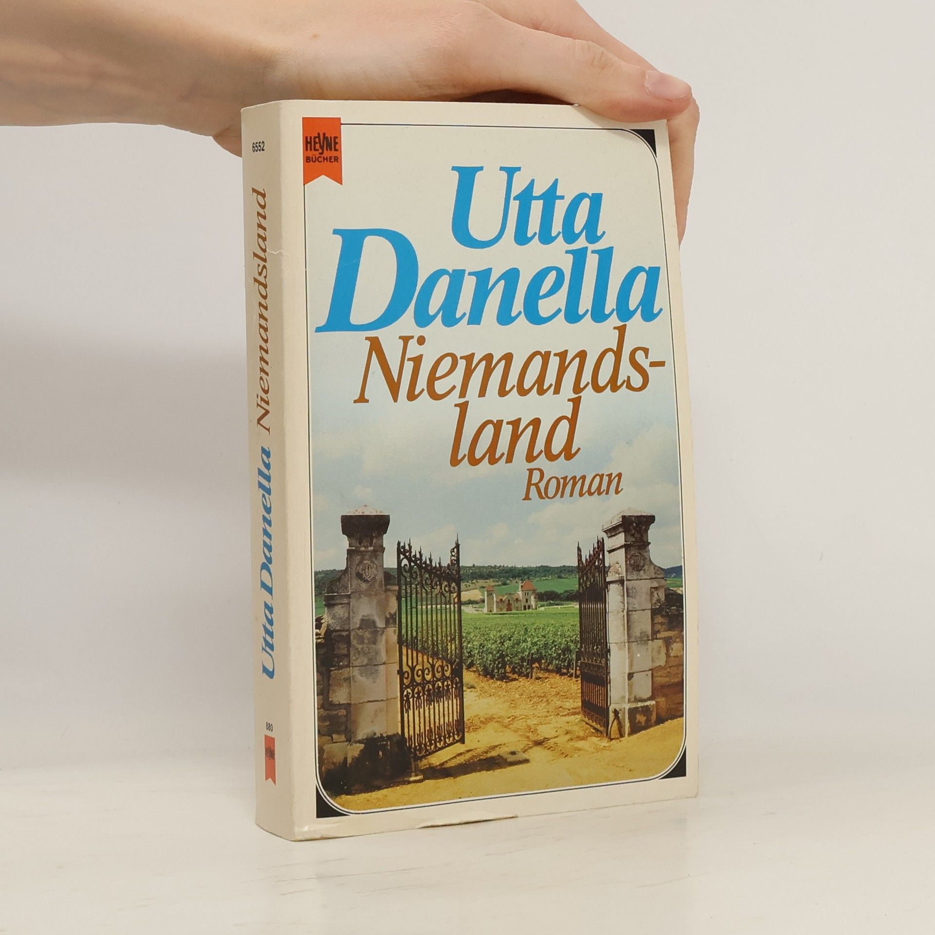 Utta Danella Niemandsland