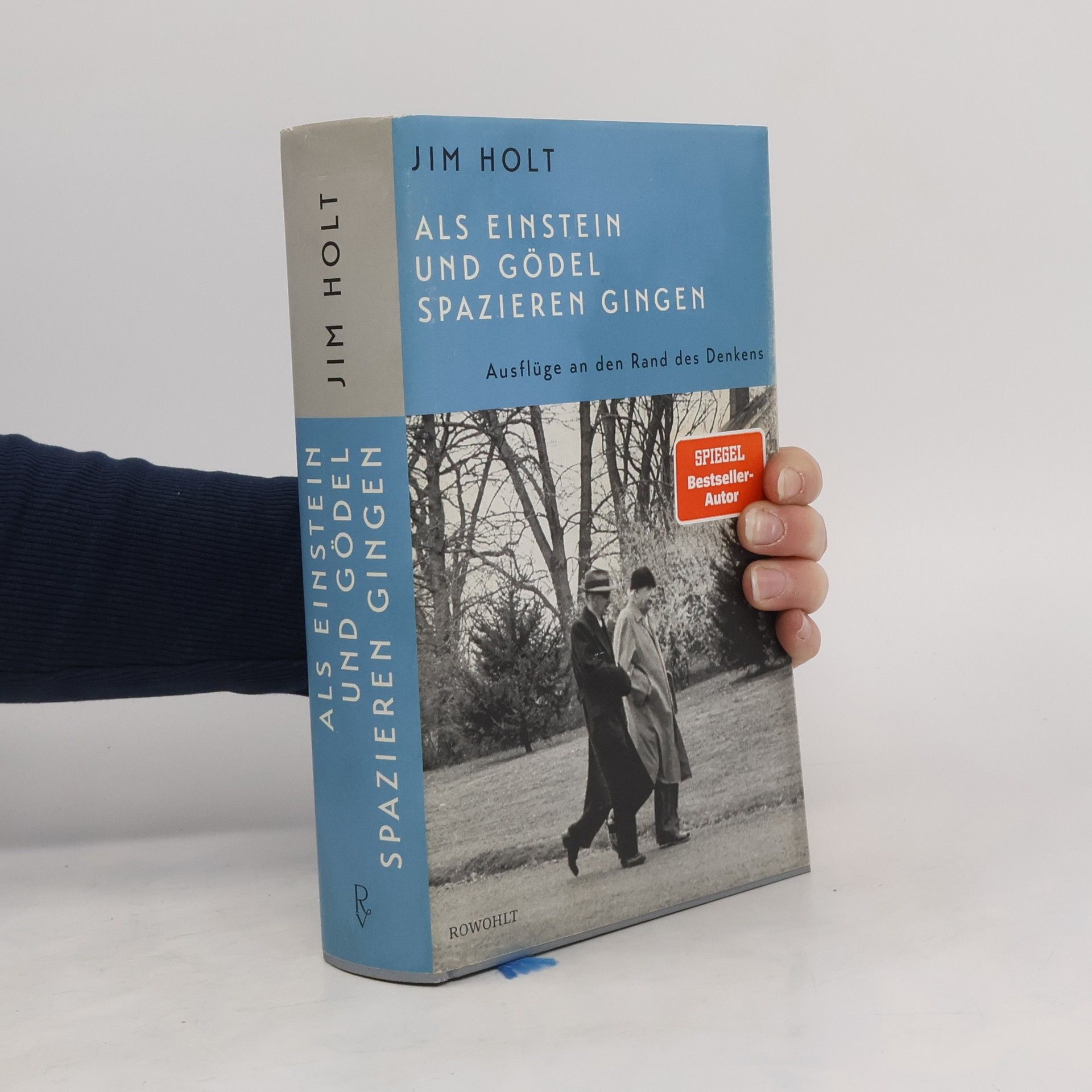 Jim Holt Als Einstein und Gödel spazieren gingen