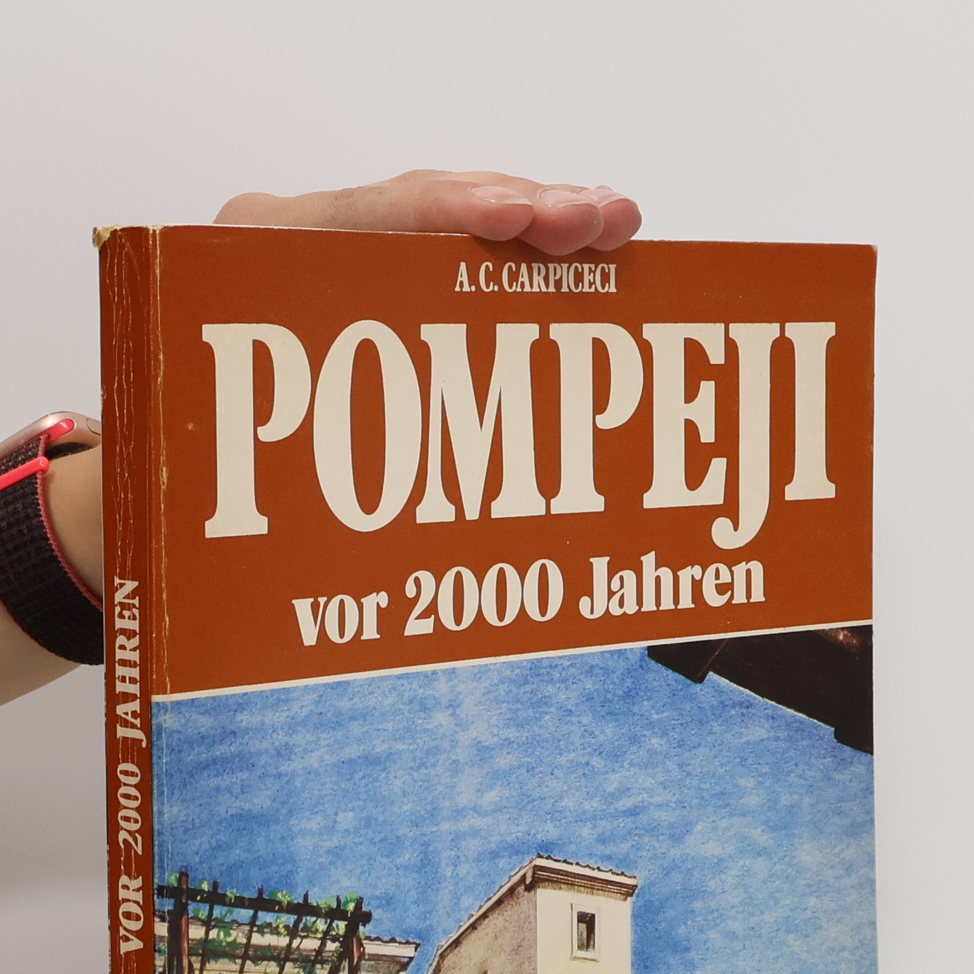 Alberto Carlo Carpiceci Pompeji heute und vor 2000 Jahren