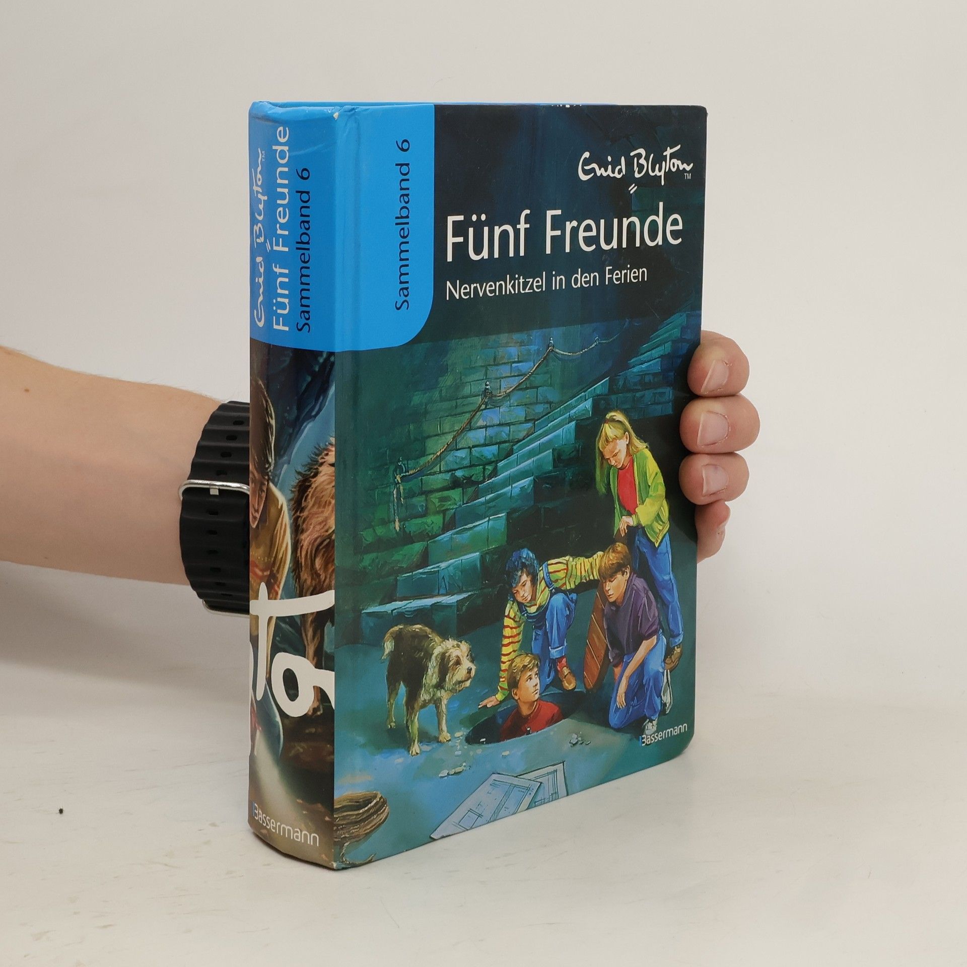 Marita Moshammer-Lohrer Fünf Freunde