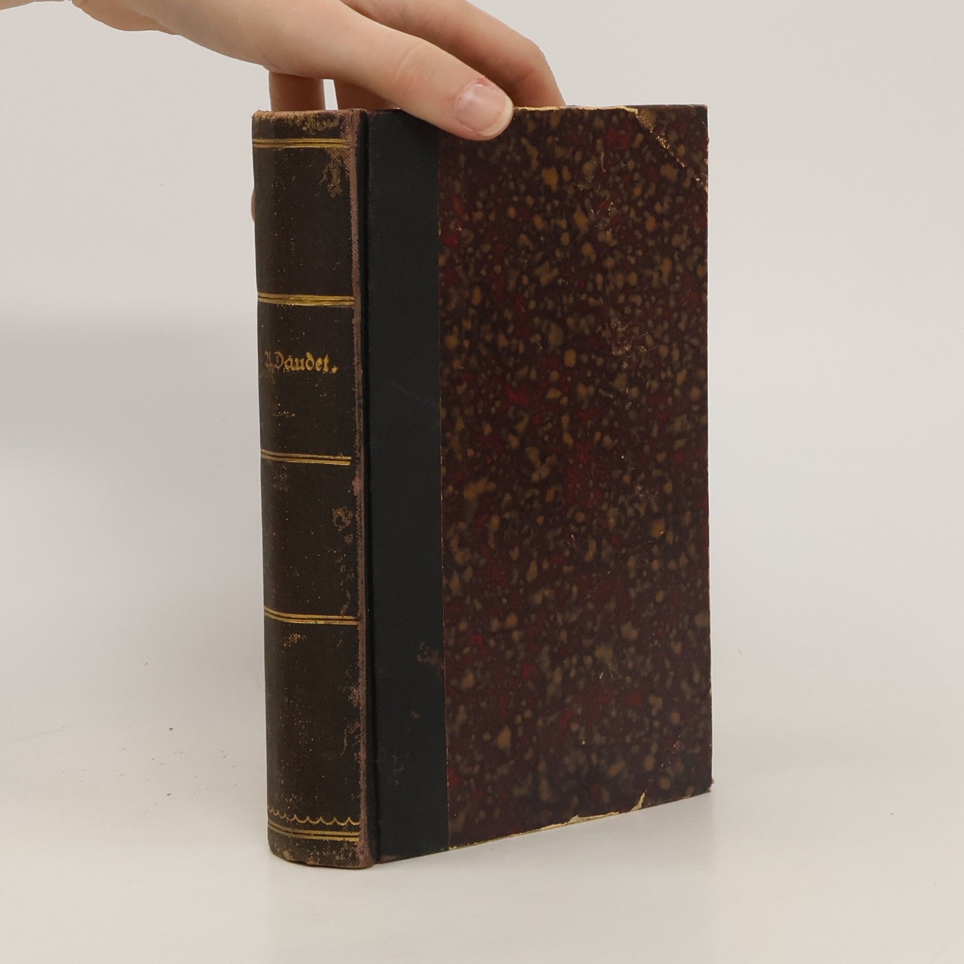 Alphonse Daudet Die Stücke der Familie