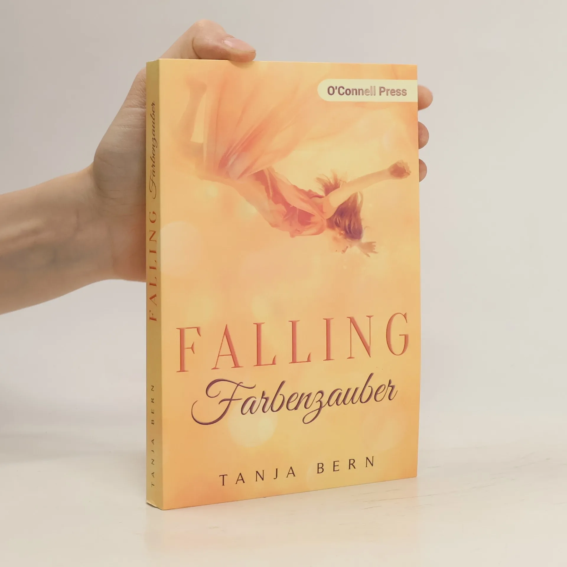 Falling - Farbenzauber | Livre | Tanja Bern | DE