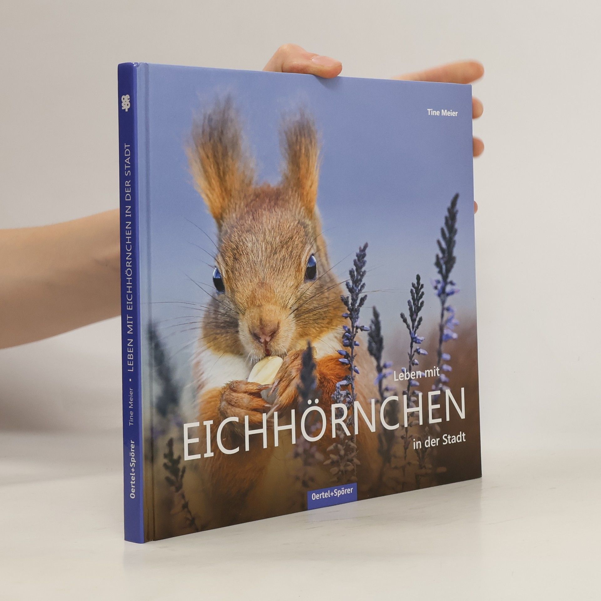 Tine Meier Leben mit Eichhörnchen in der Stadt