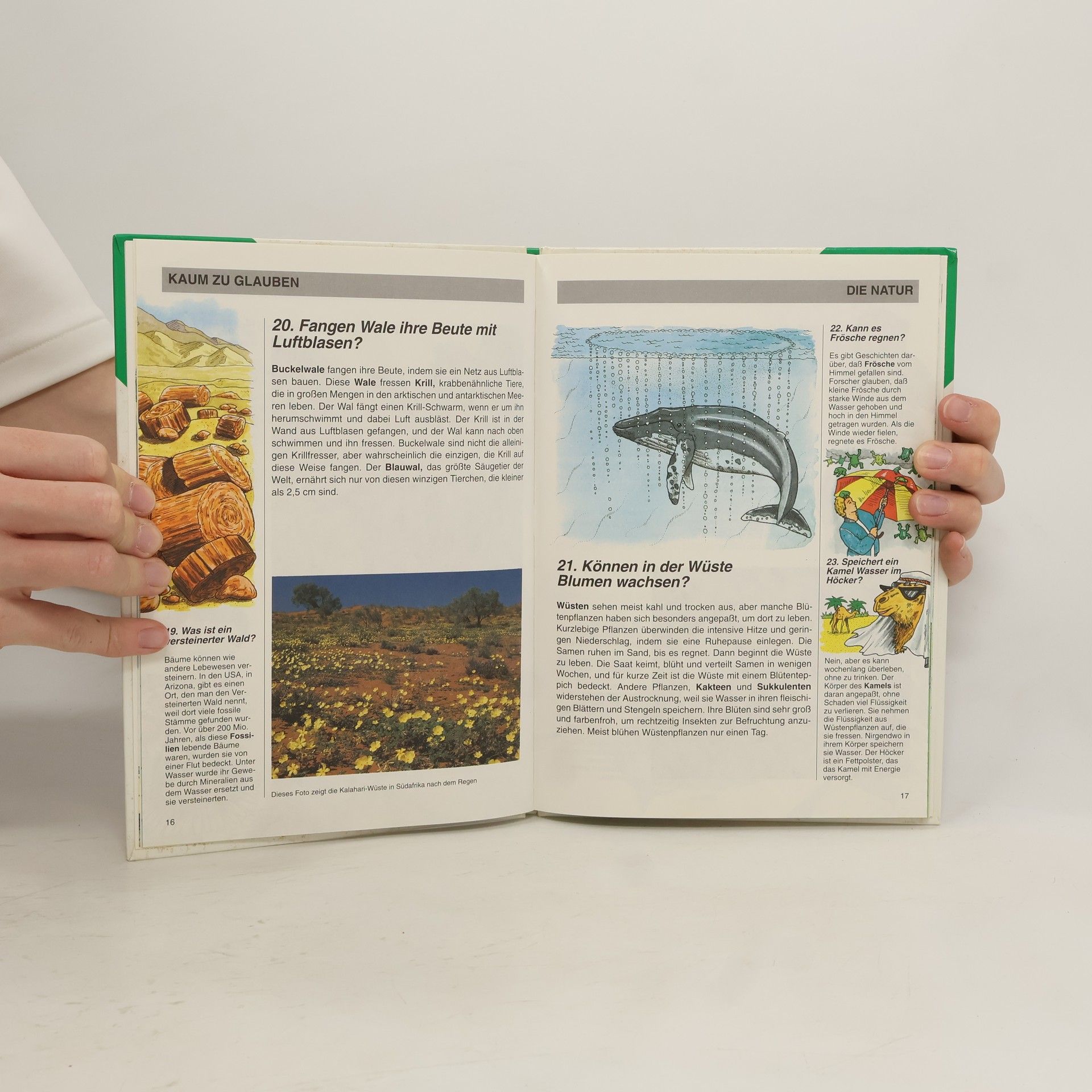 Various authors Wie, was, warum - die Natur