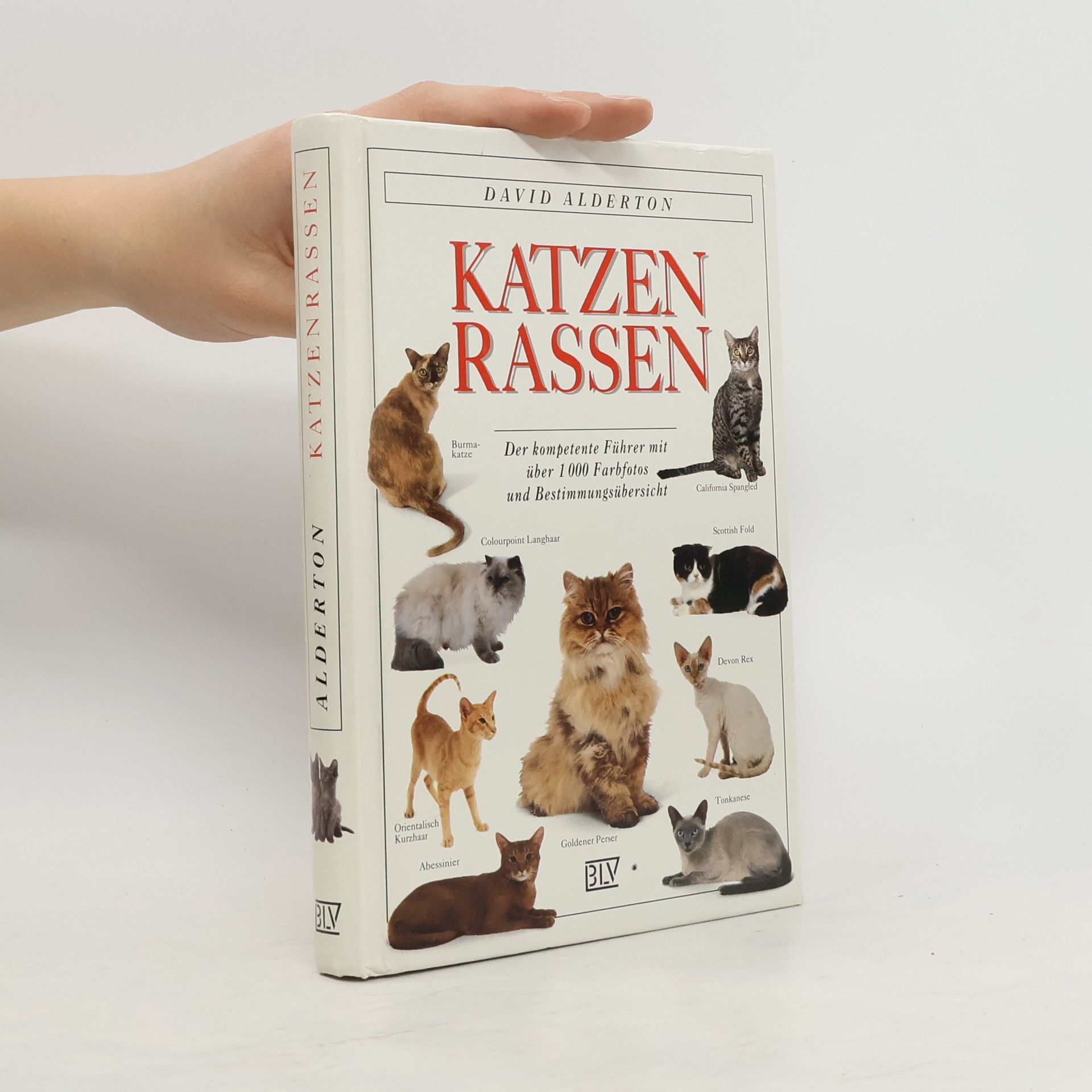 David Alderton Katzen-Rassen