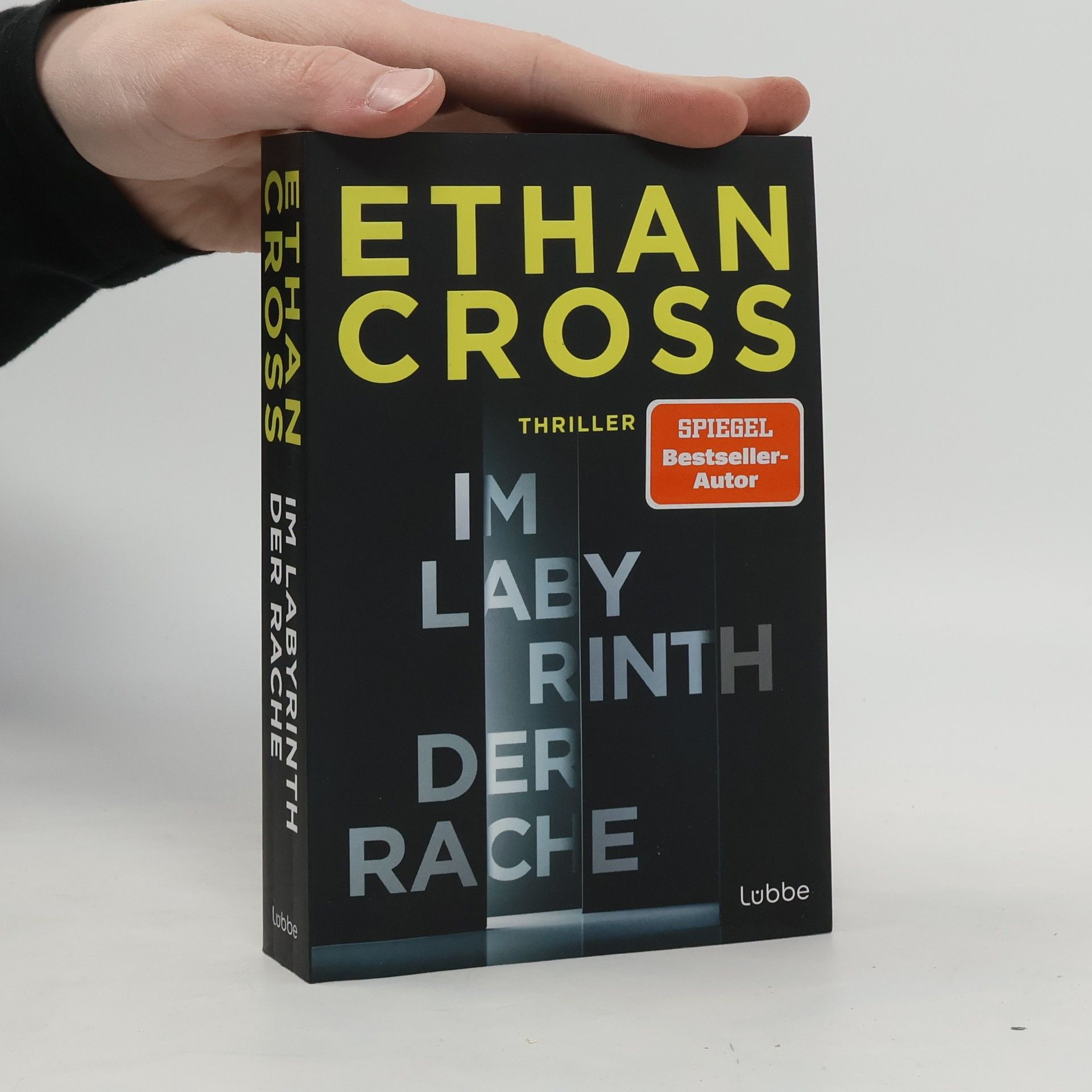 Ethan Cross Im Labyrinth der Rache. Thriller