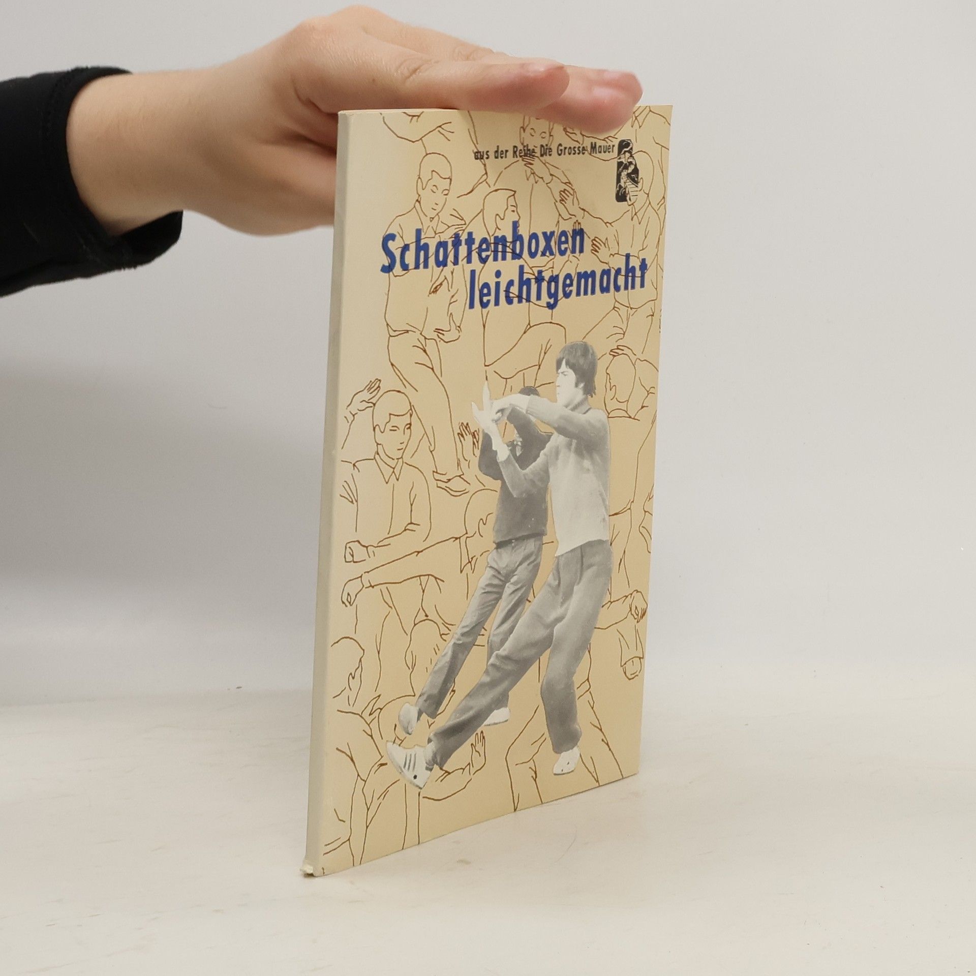 Auteurscollectief Schattenboxen leichtgemacht