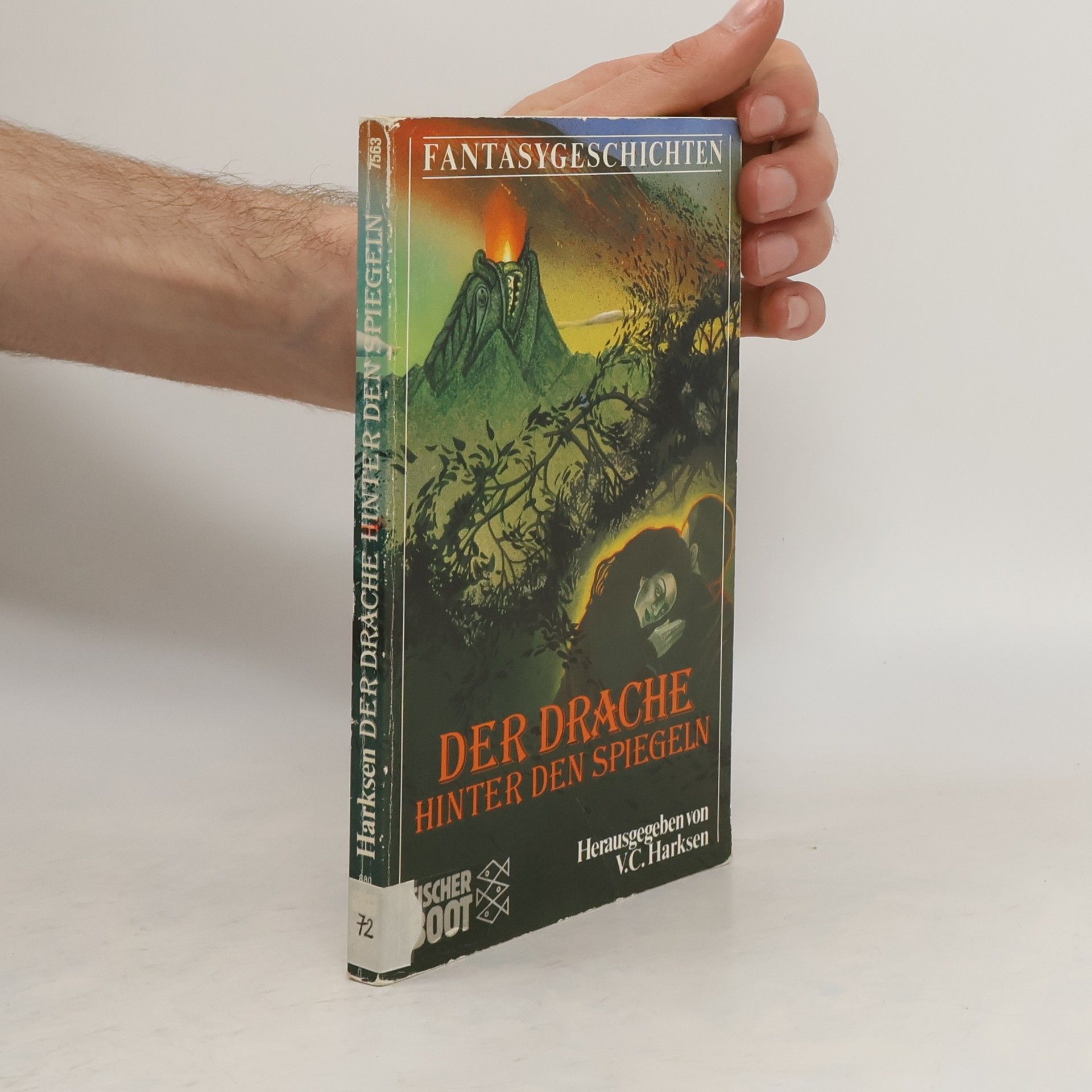 Verena C. Harksen Der Drache hinter den Spiegeln