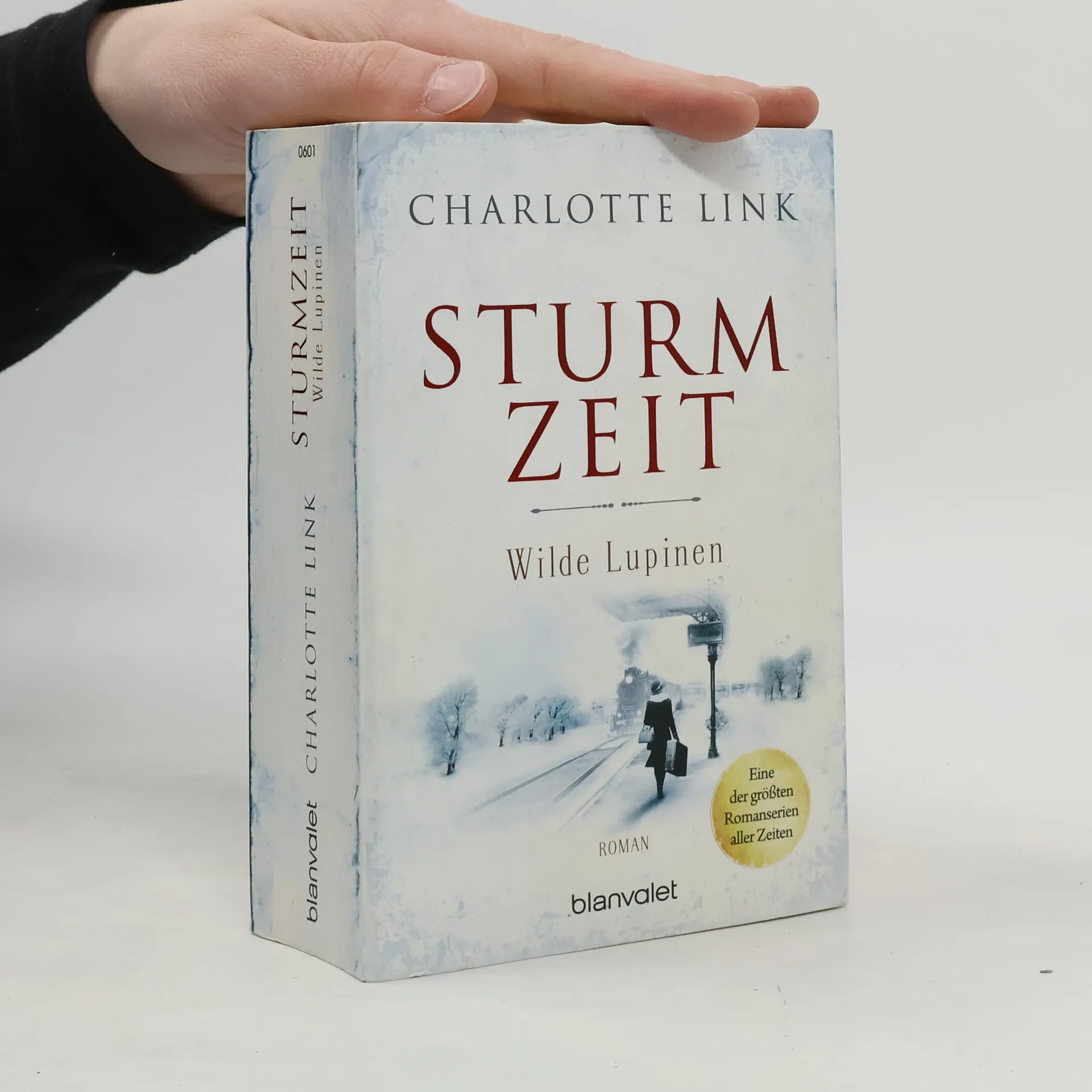 Sturmzeit. Wilde Lupinen | Buch | Charlotte Link