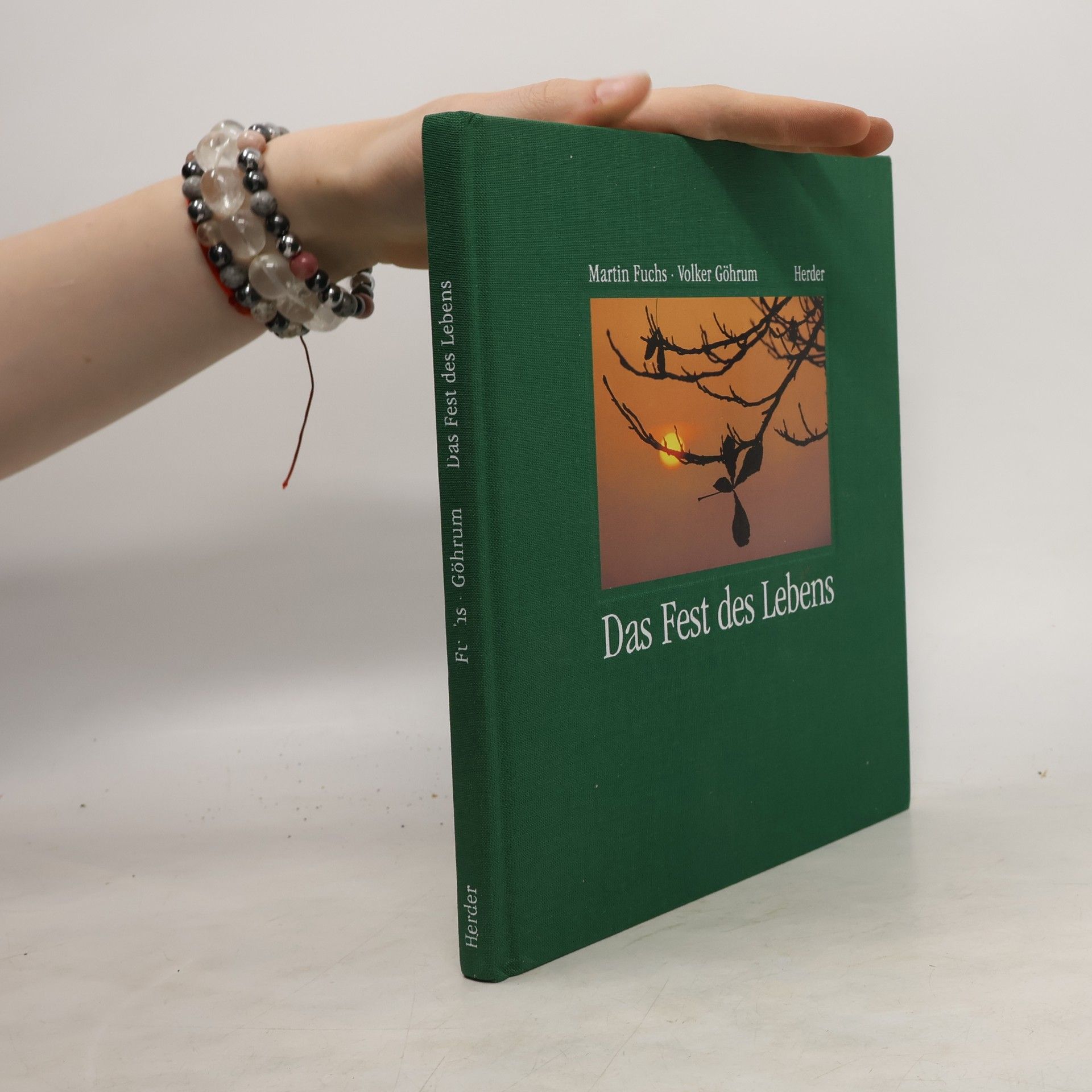 Martin Fuchs Das Fest des Lebens