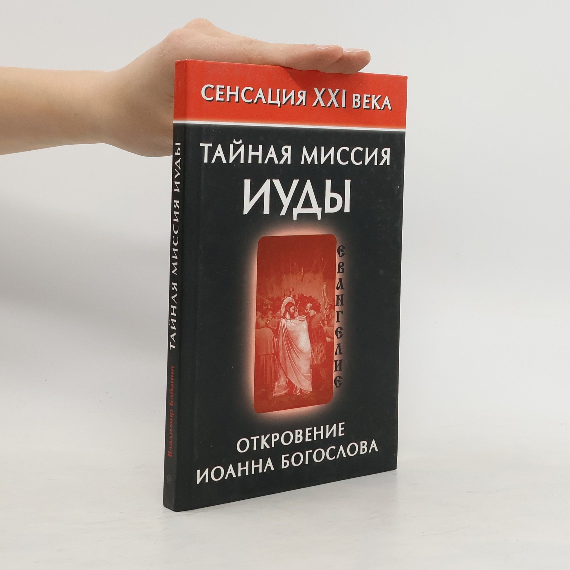 Владимир Петрович Бабанин Тайная миссия Иуды