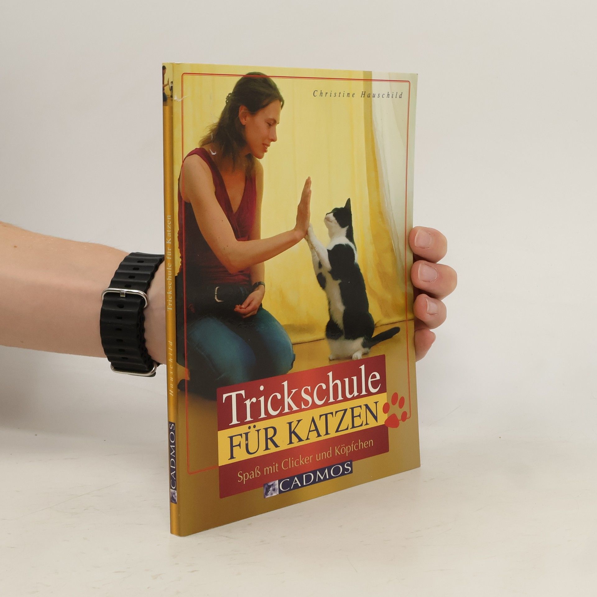 Christine Hauschild Trickschule für Katzen