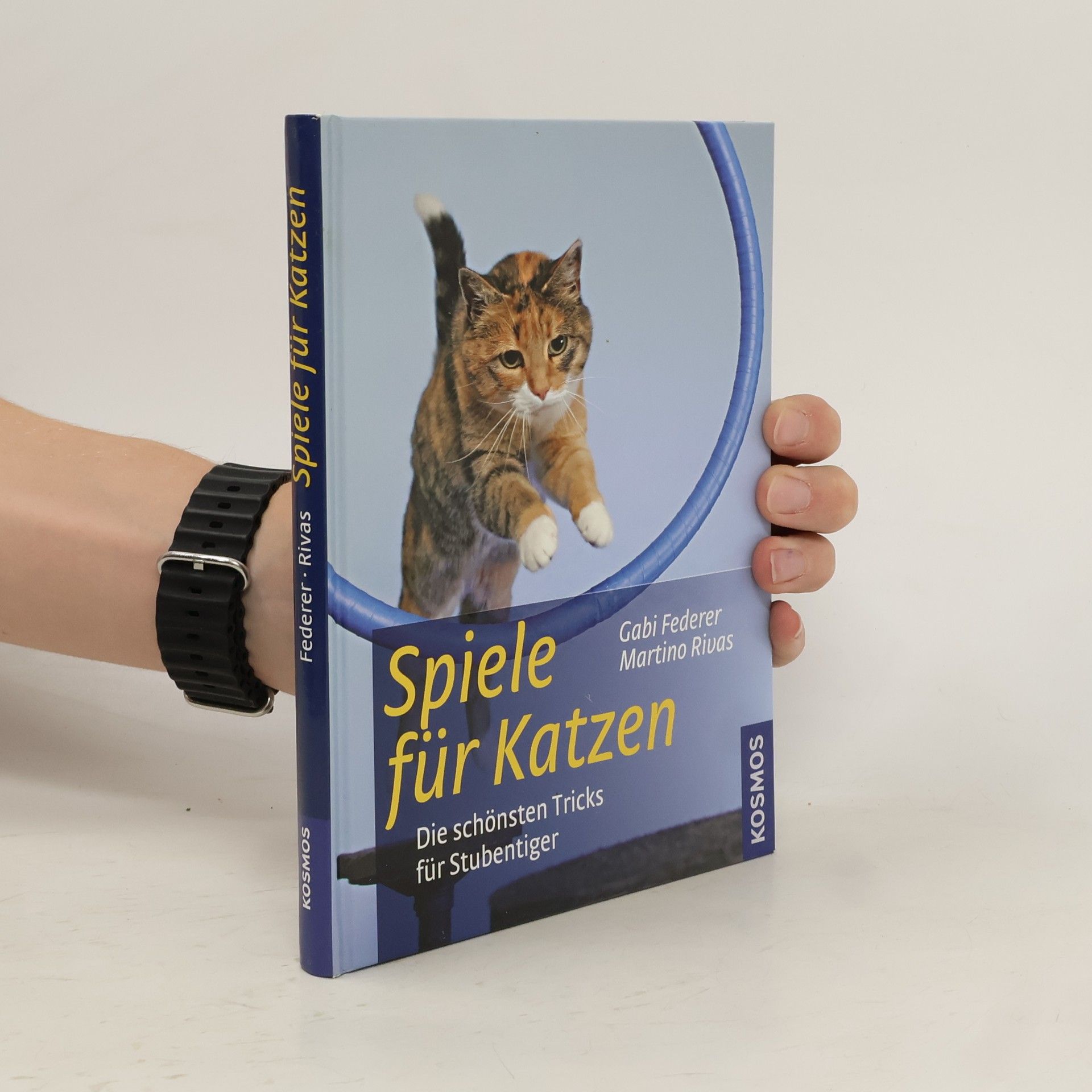 Gabi Federer Spiele für Katzen