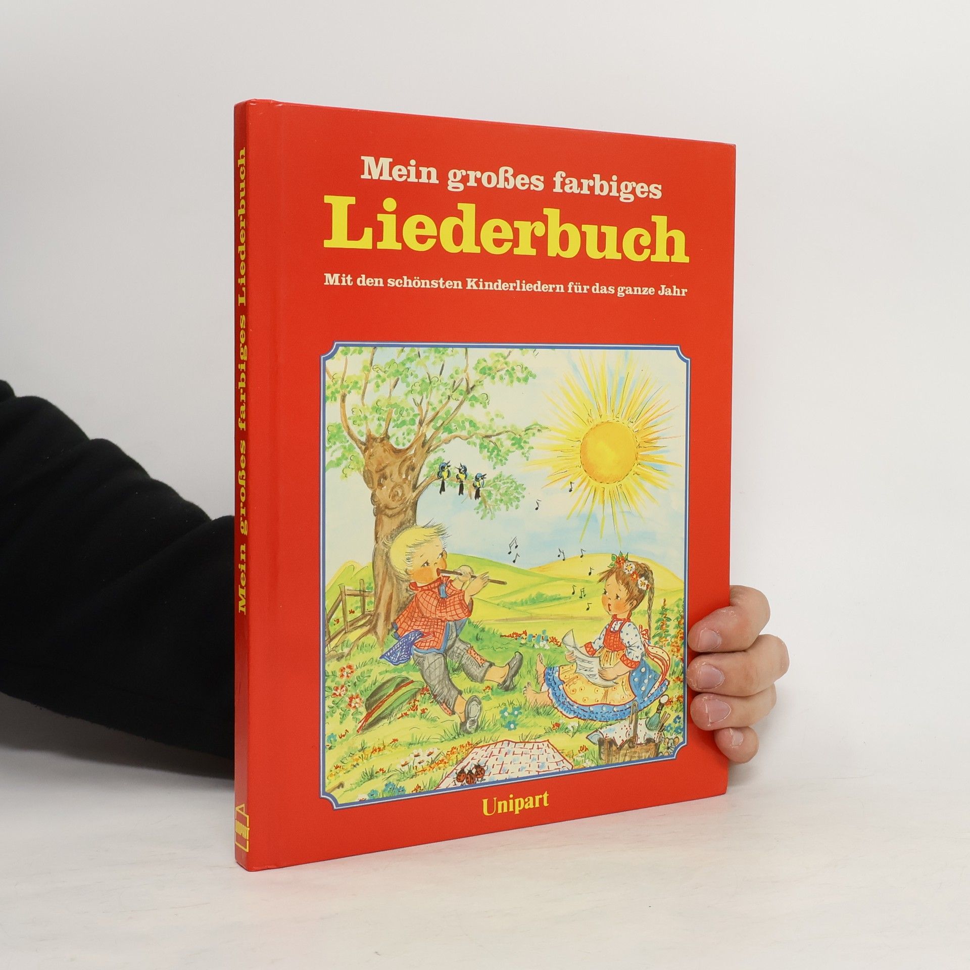 kolektiv Mein großes farbiges Liederbuch
