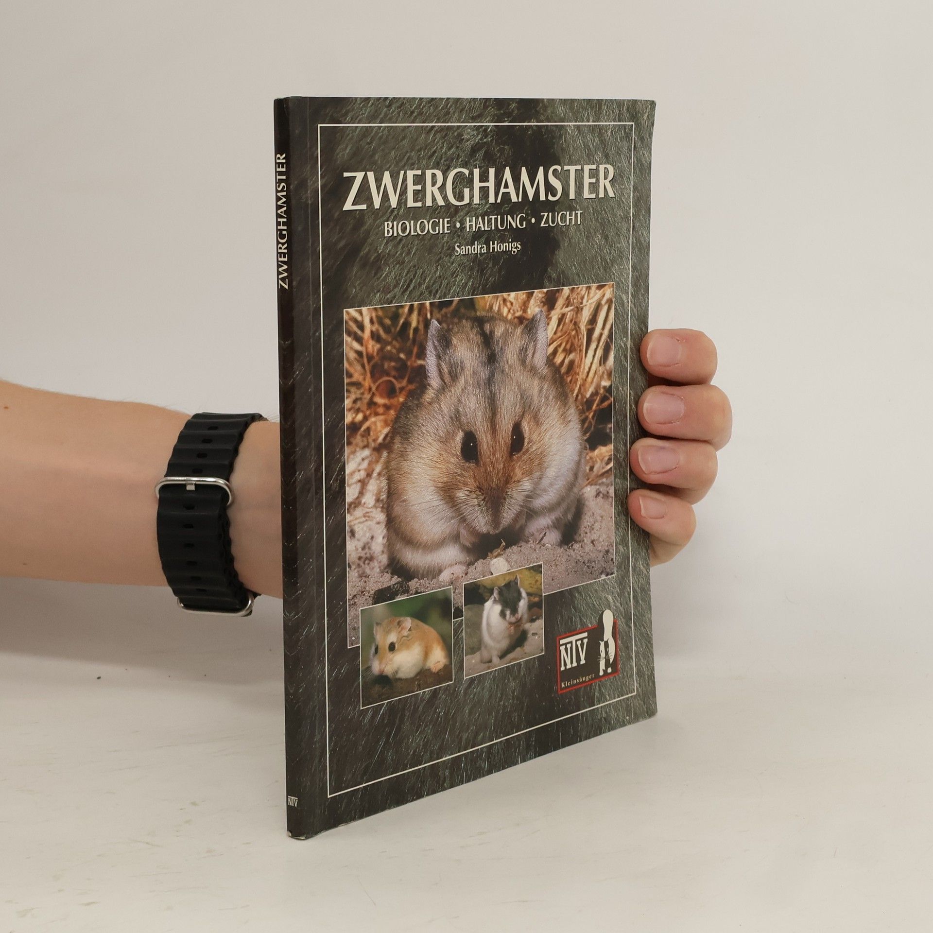 Sandra Honigs Zwerghamster
