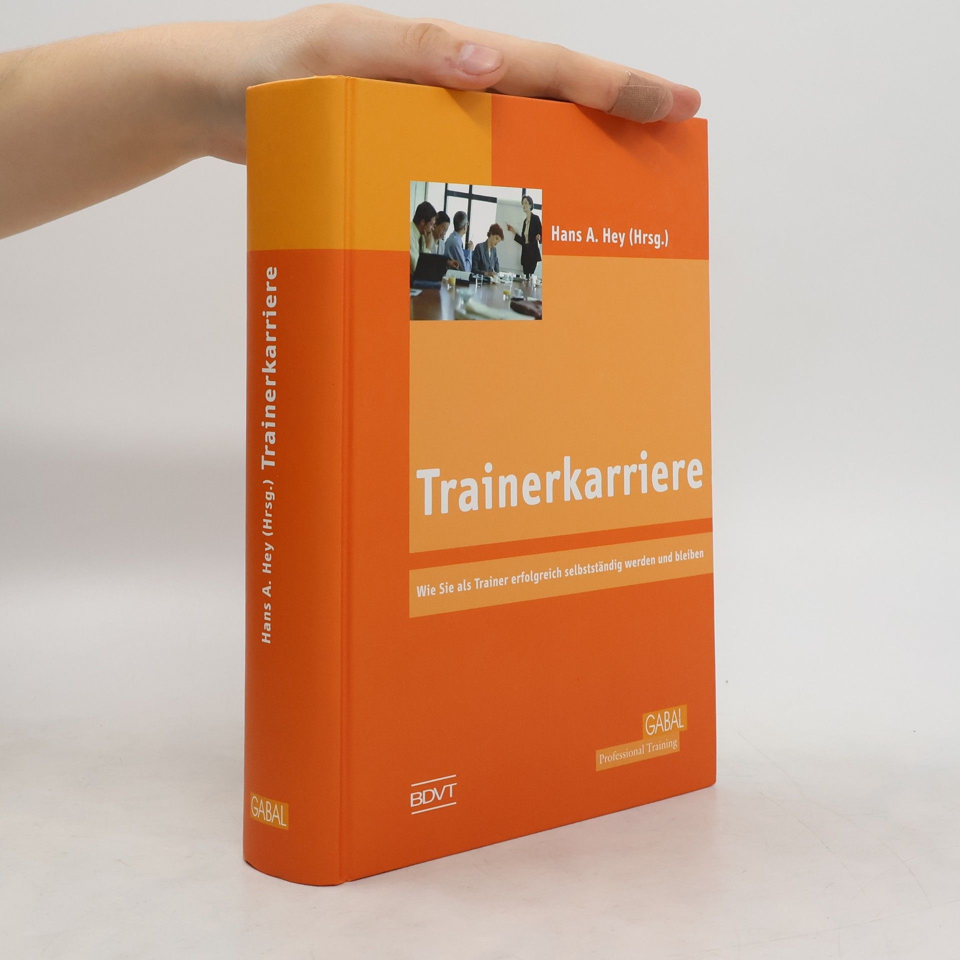Hans A. Hey Trainerkarriere