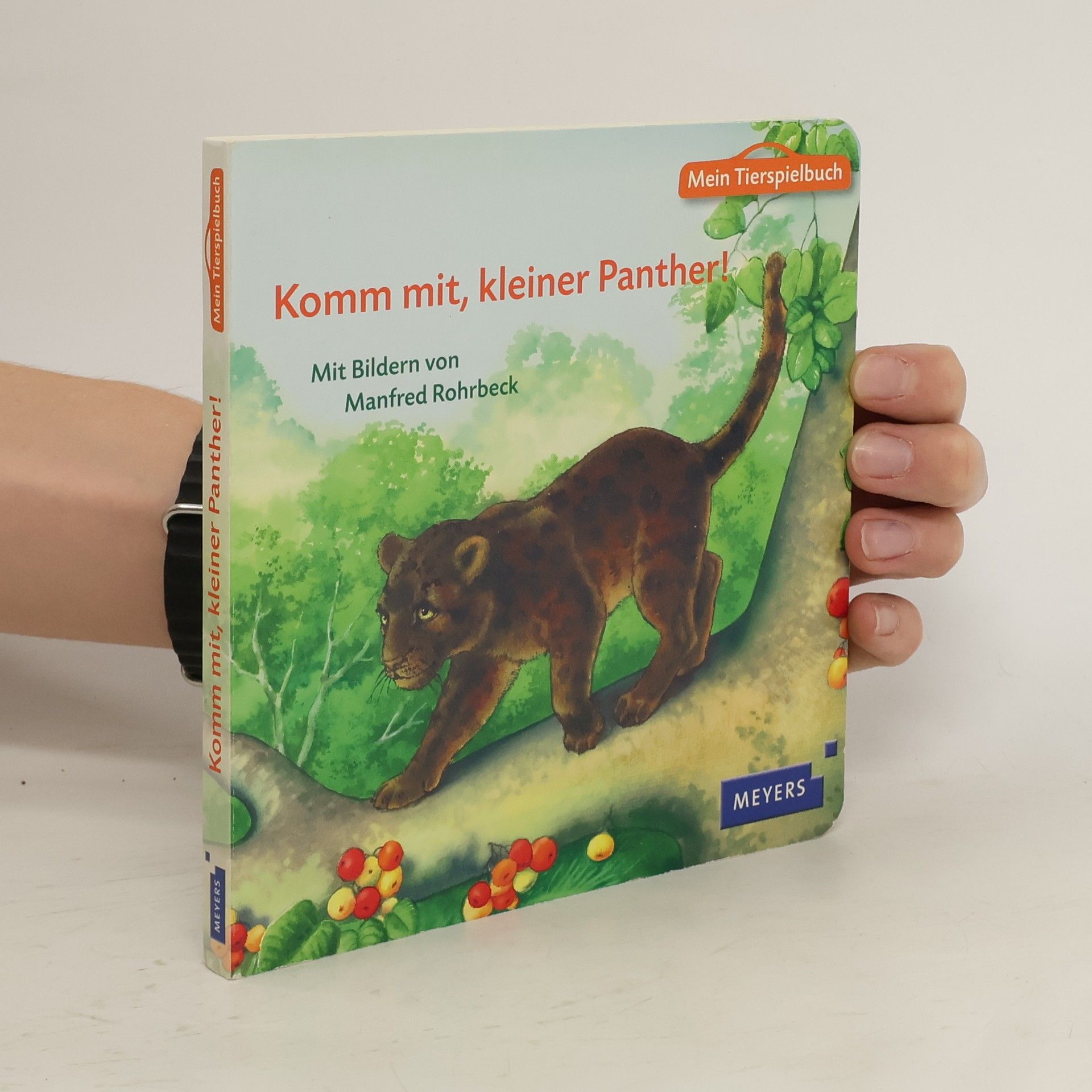 Collective Komm mit, kleiner Panther!