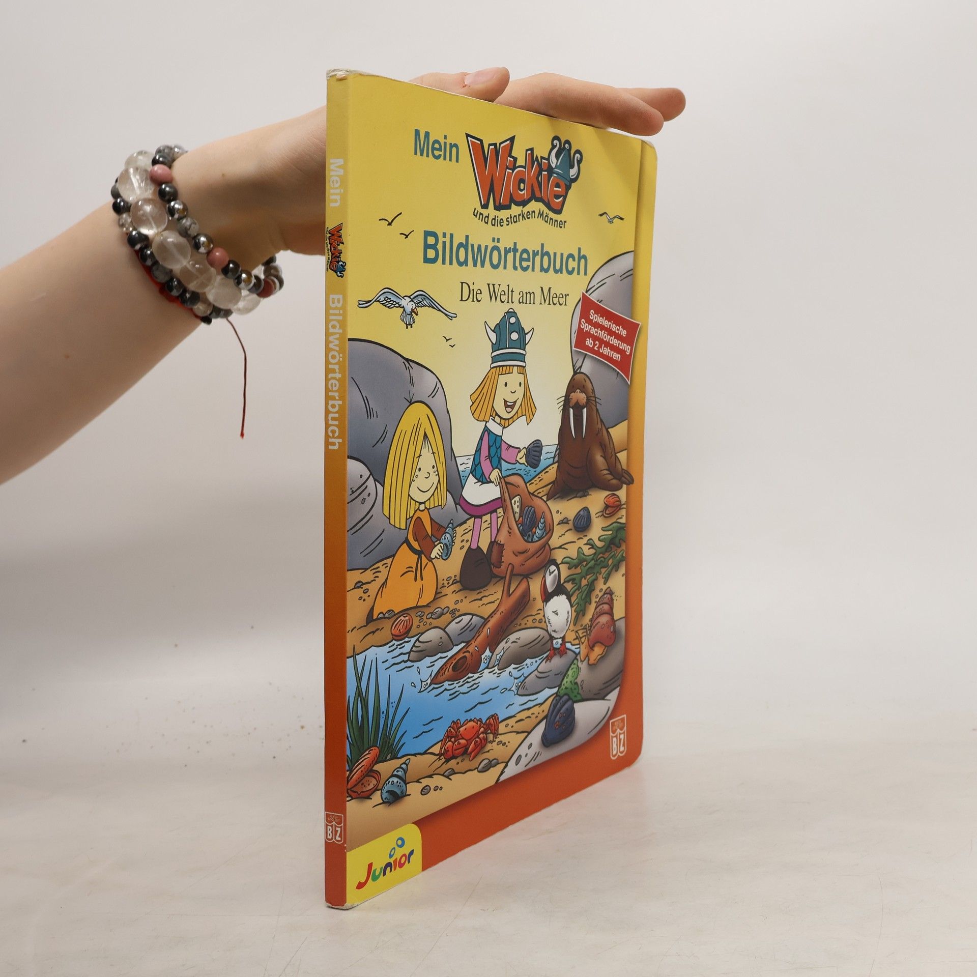 Autorenkollektiv Mein Bildwörterbuch