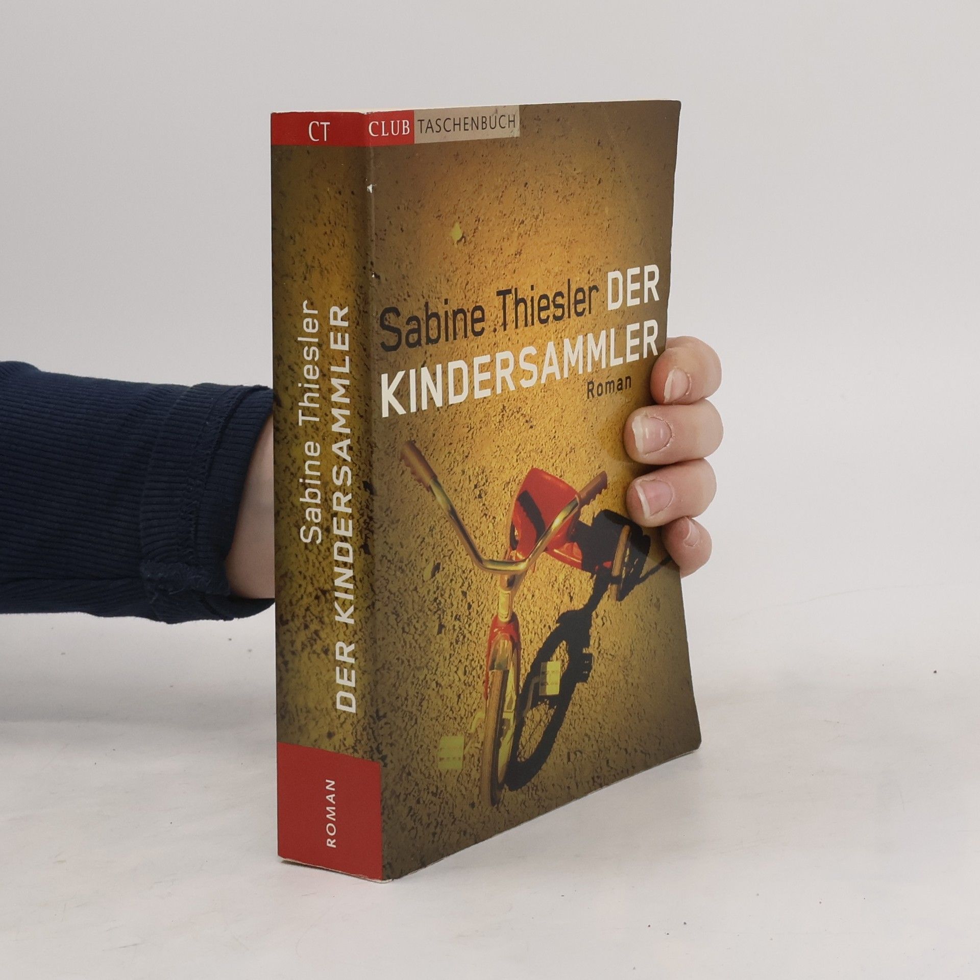 Sabine Thiesler Der Kindersammler