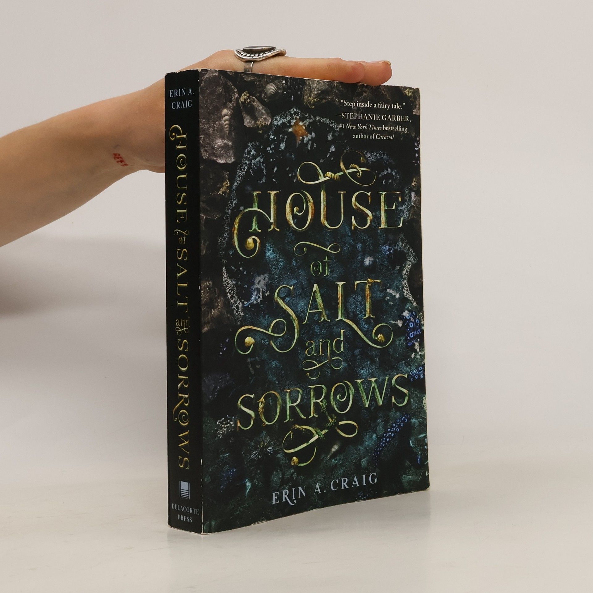 Erin A. Craig House of salt and sorrows