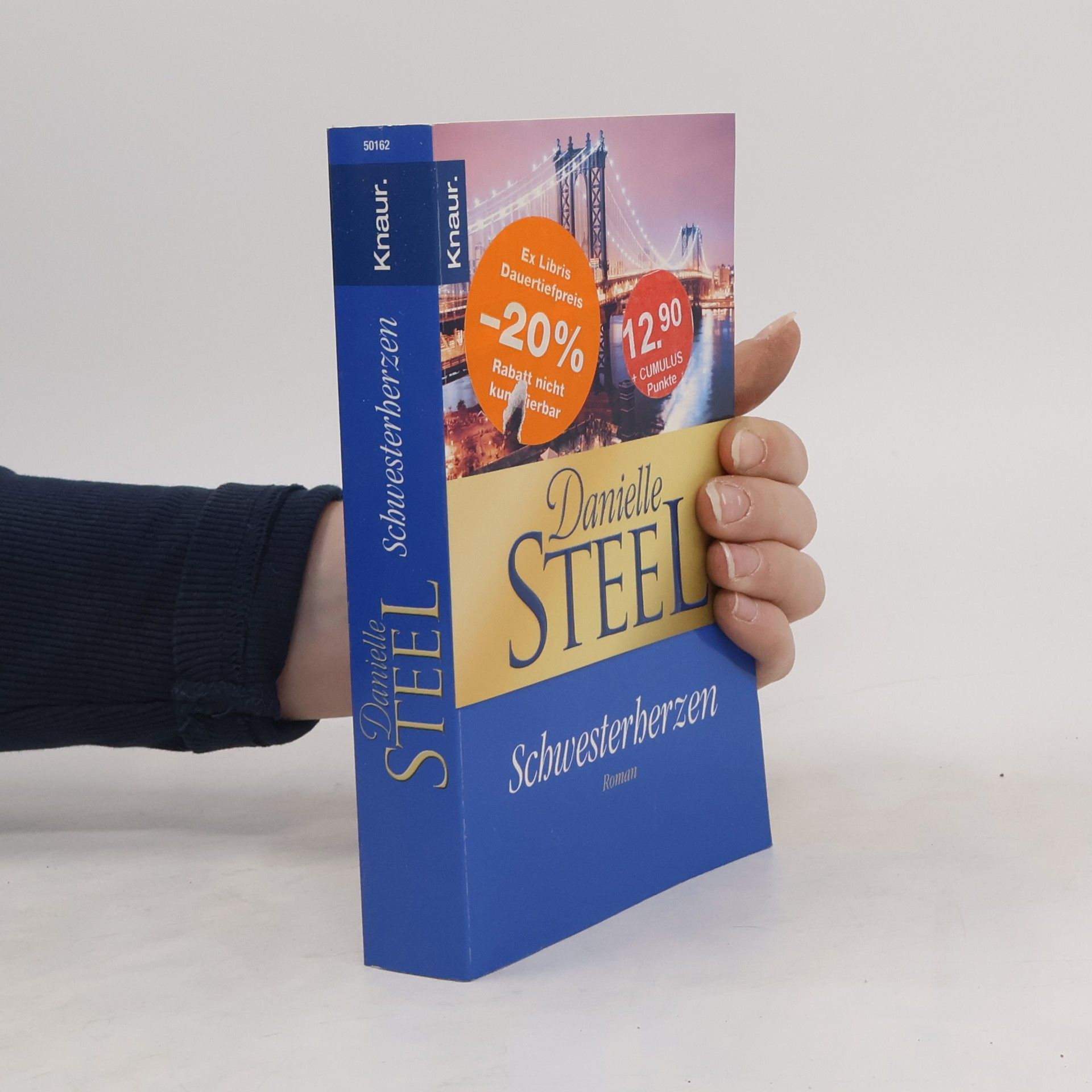 Danielle Steel Schwesterherzen