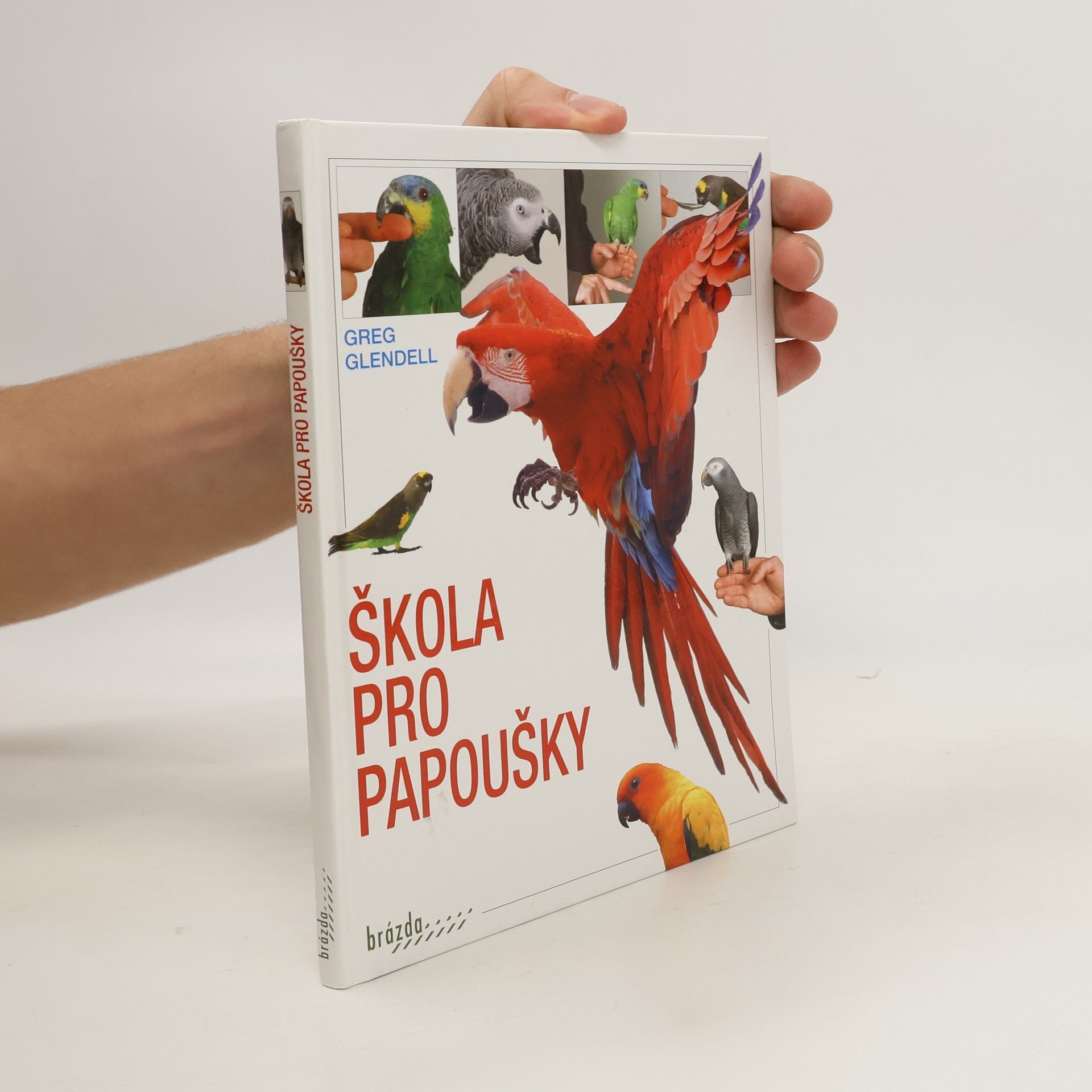 Greg Glendell Škola pro papoušky
