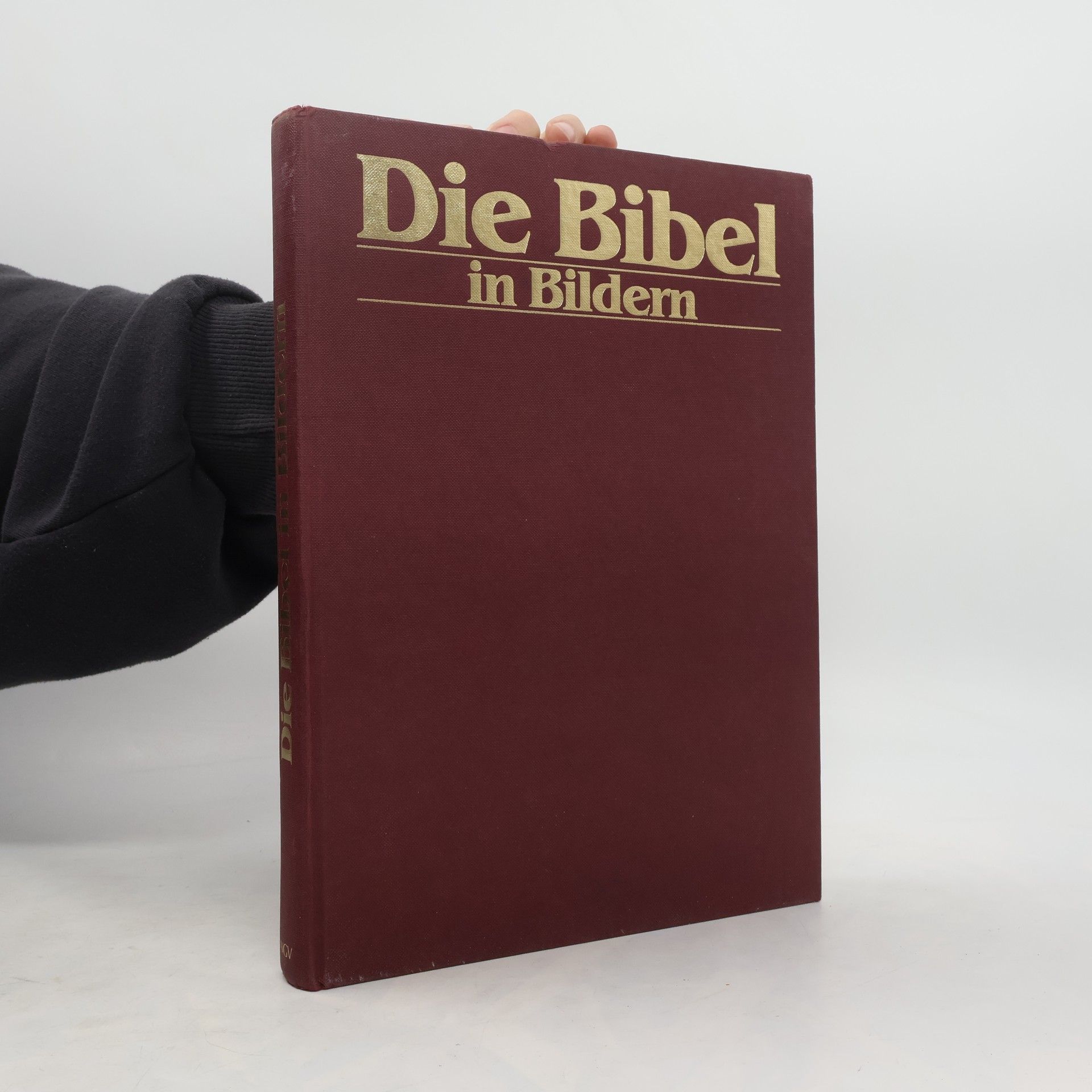 Autorenkollektiv Die Bibel in Bildern. Schatzkammer der Malerei