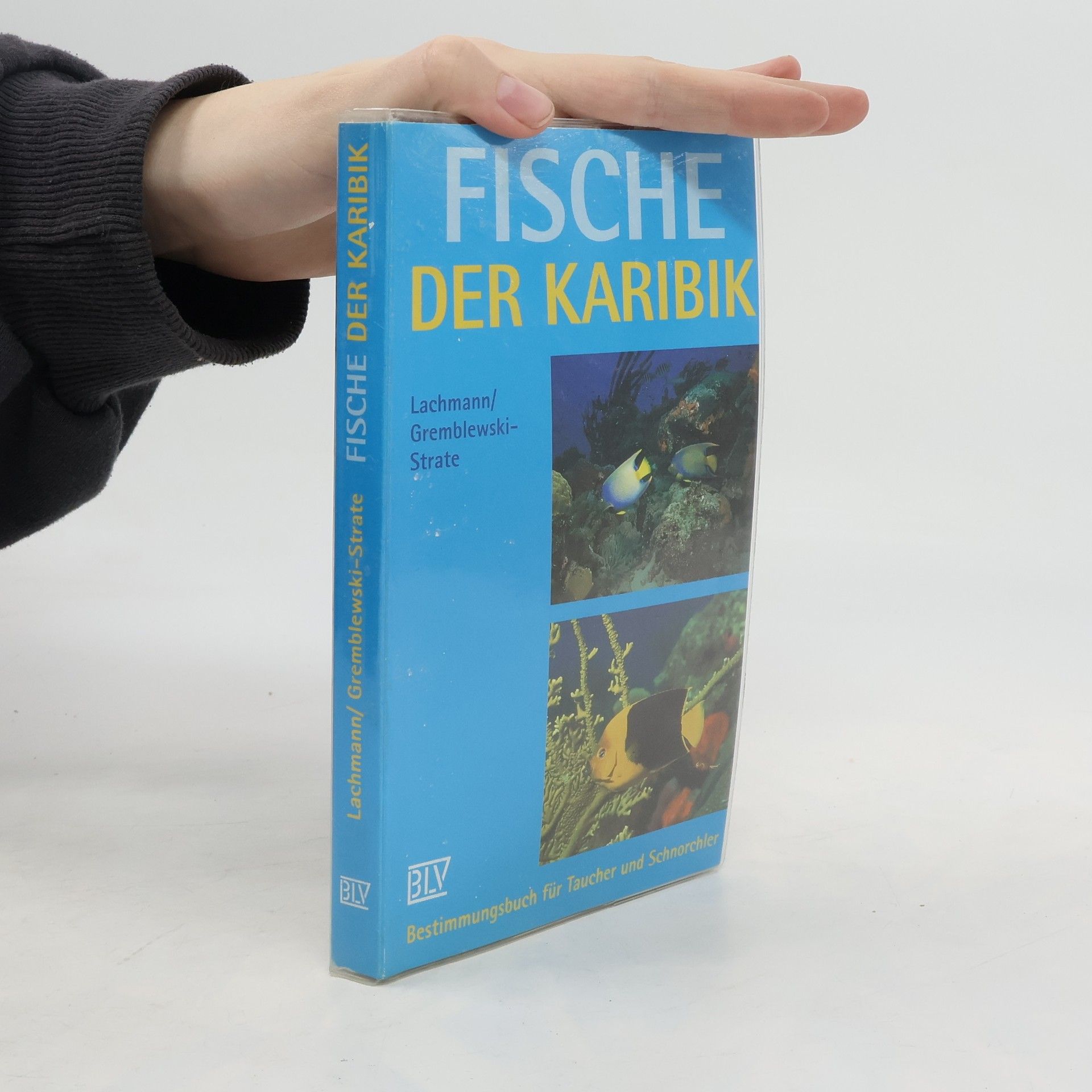 Petra Lachmann Fische der Karibik