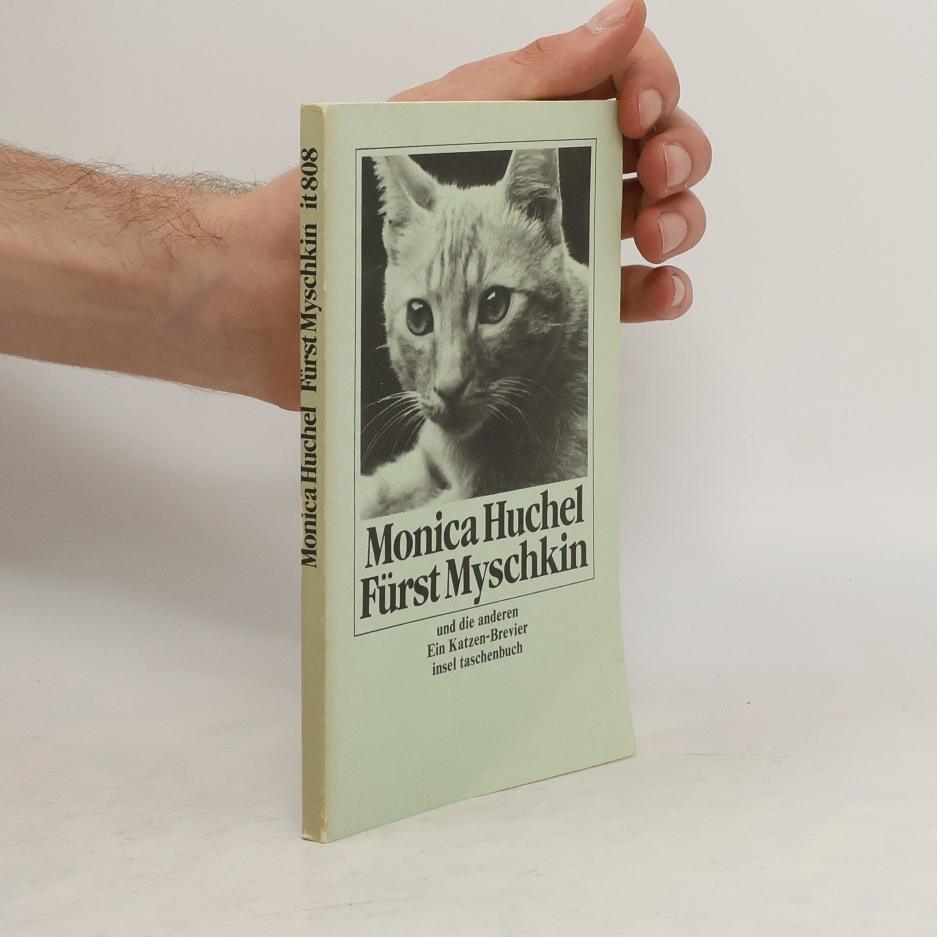 Monica Huchel Fürst Myschkin und die anderen