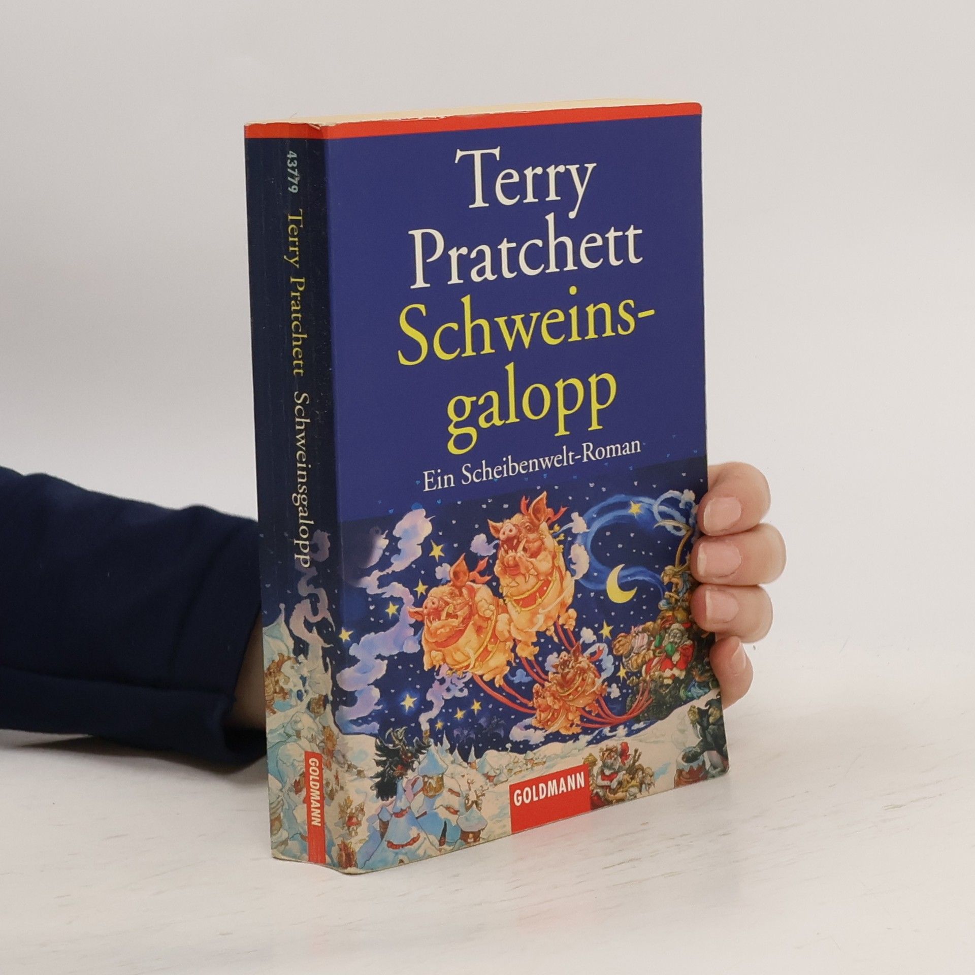 Terry Pratchett Schweinsgalopp