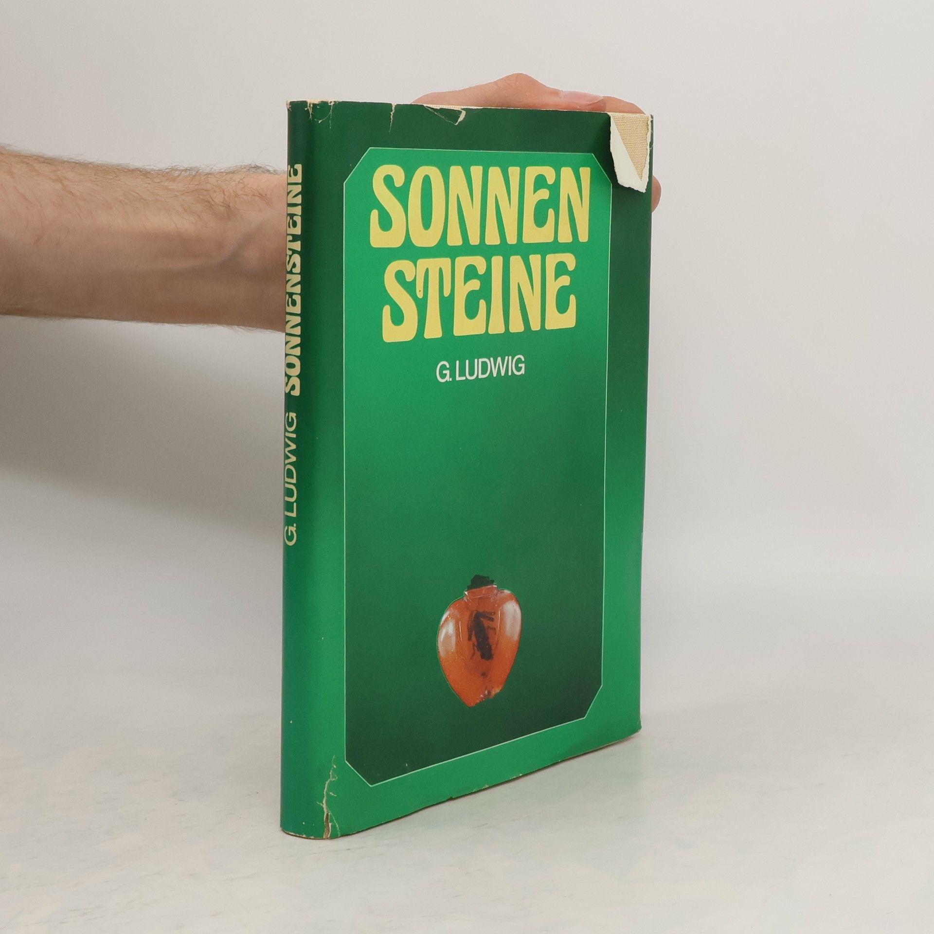 Günter Ludwig Sonnensteine