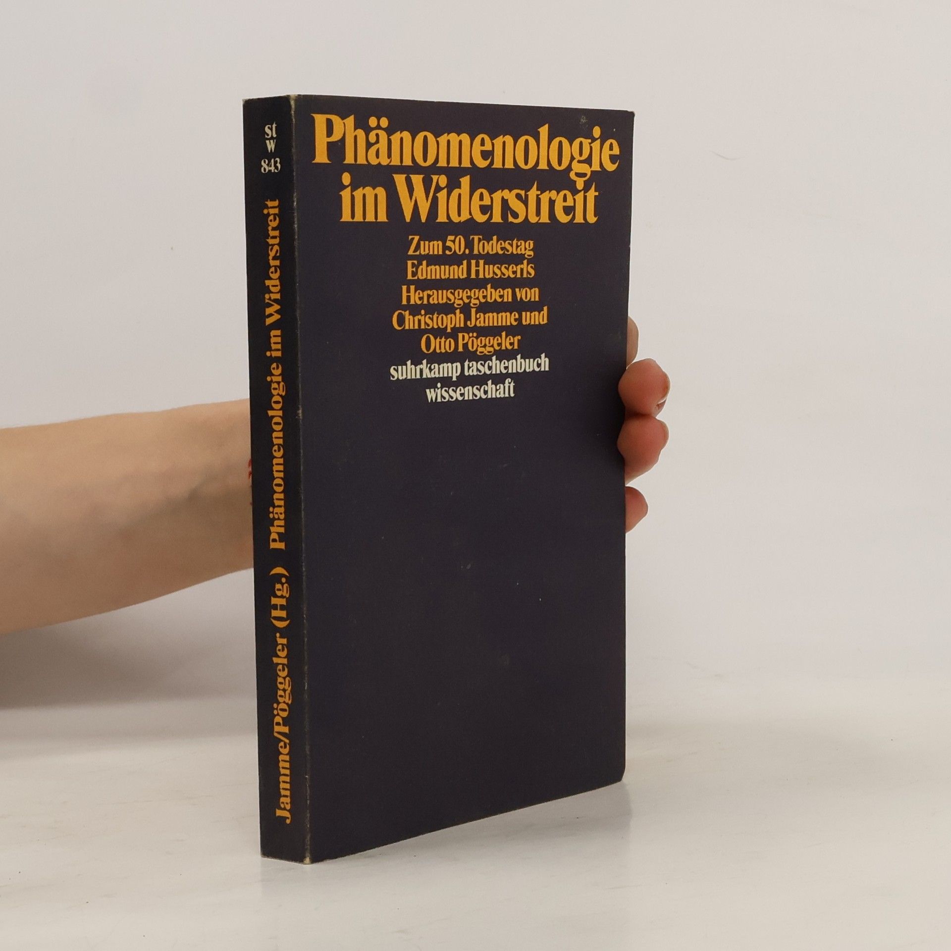 Christoph Jamme Phänomenologie im Widerstreit
