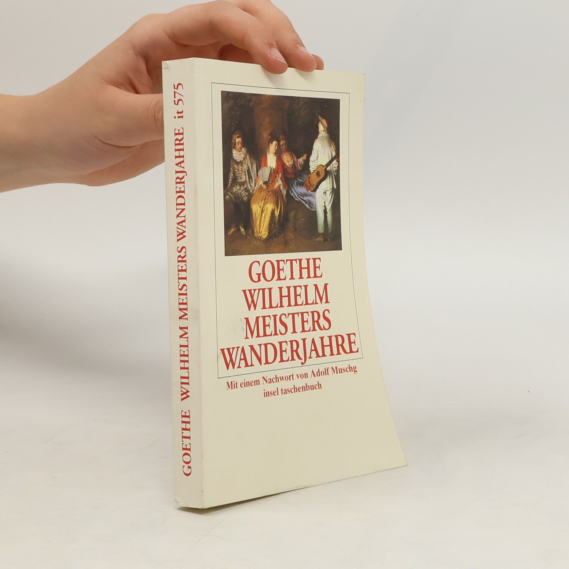 Johann Wolfgang von Goethe Wilhelm Meisters Wanderjahre, oder, die Entsagenden