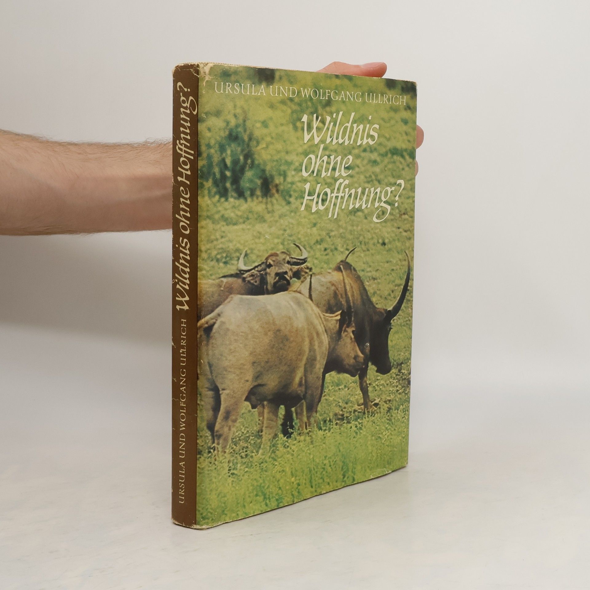 Autorenkollektiv Wildnis ohne hoffnung?