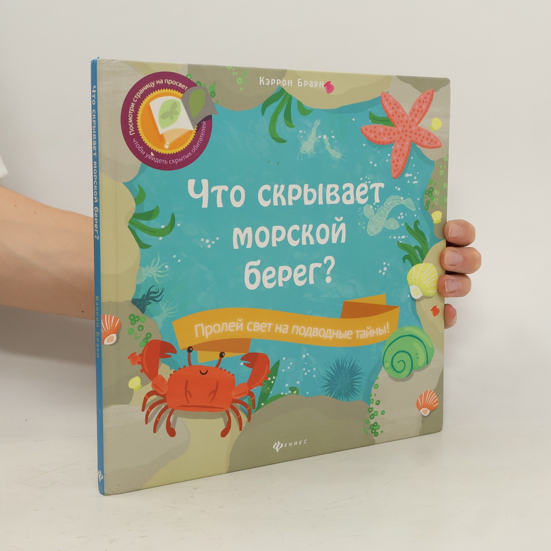 Carron Brown Что скрывает морской берег?