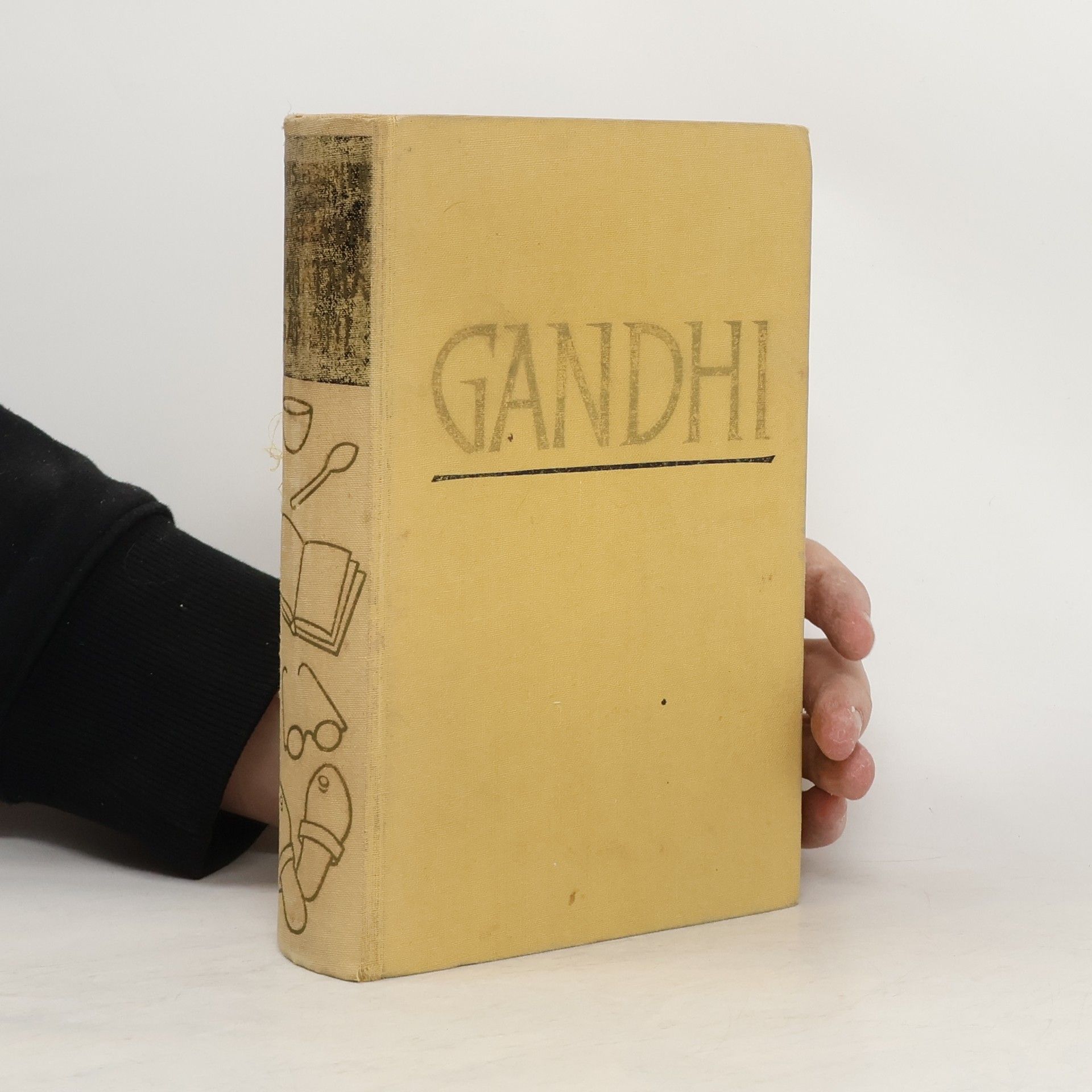 Jean-Louis Fischer Das Leben des Mahatma Gandhi