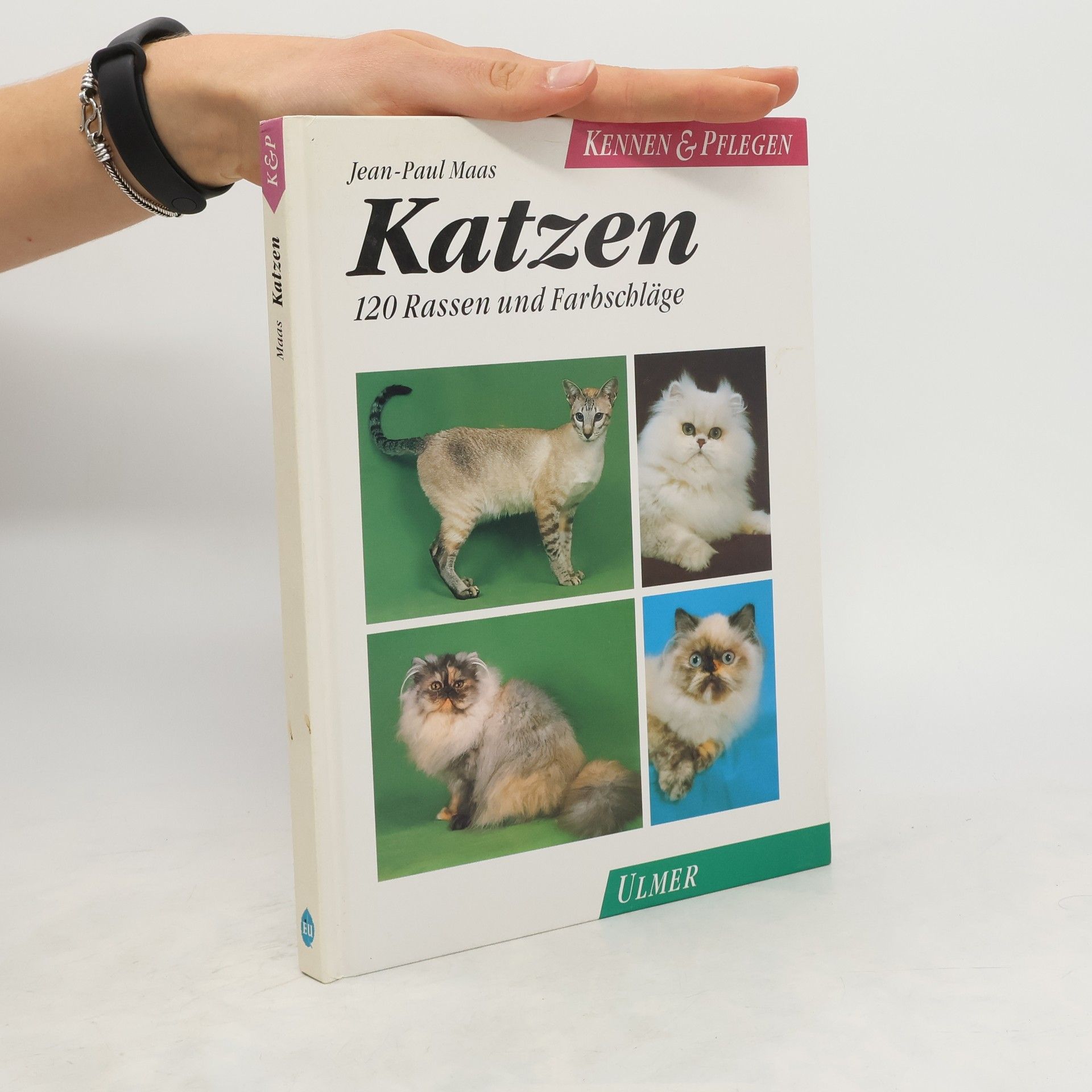 Jean-Paul Maas Katzen