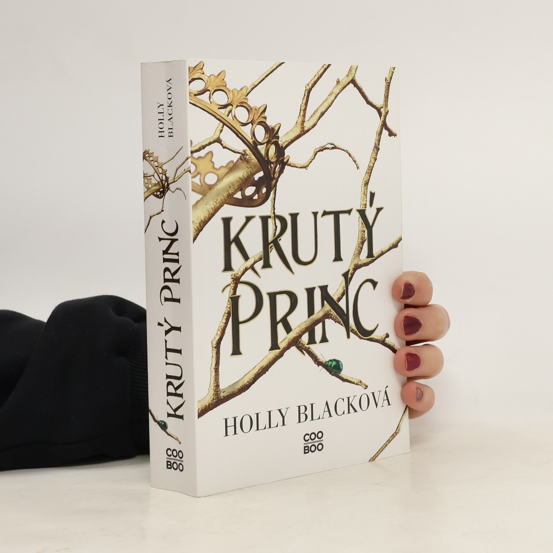 Holly Black Krutý princ