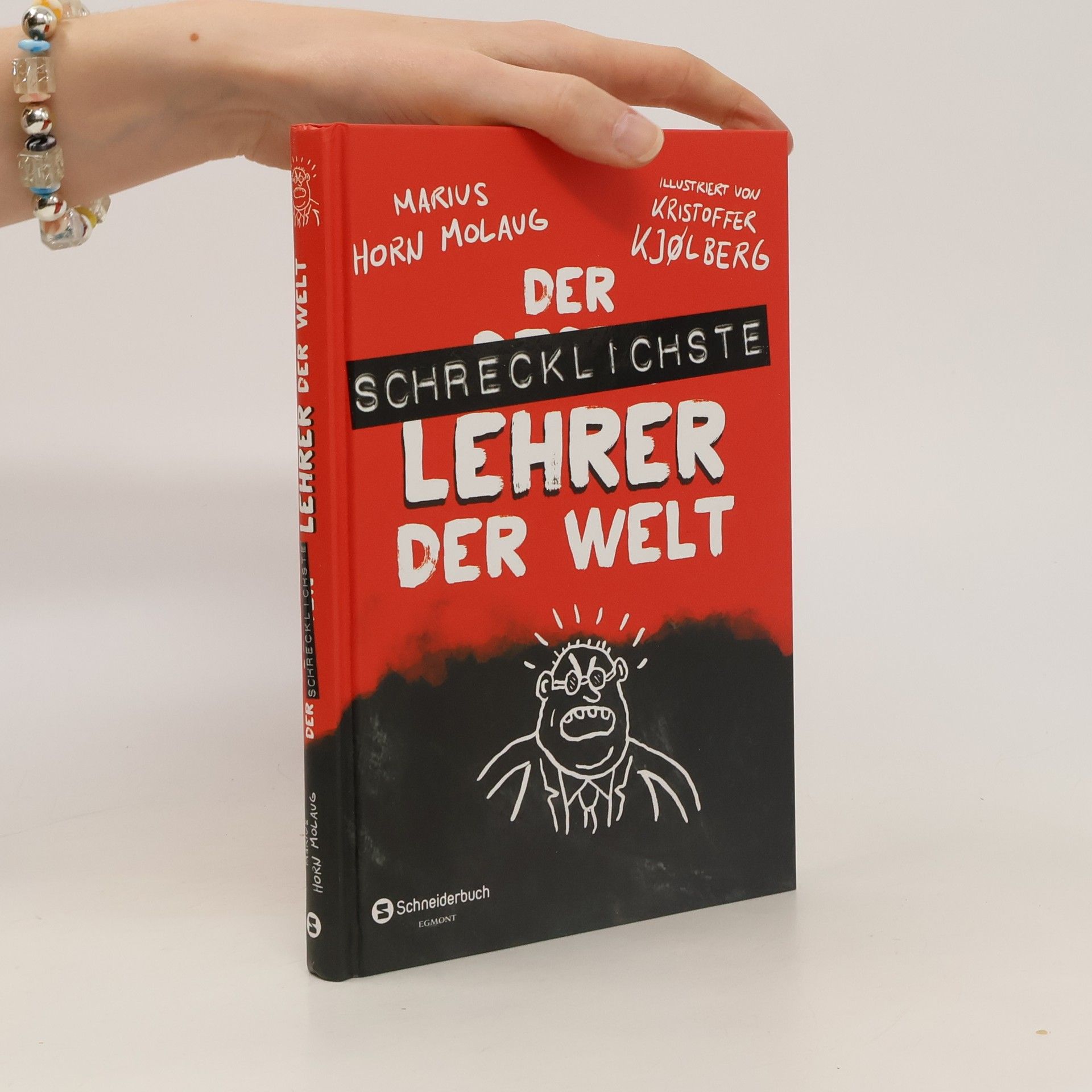 Marius Horn Molaug Der schrecklichste Lehrer der Welt
