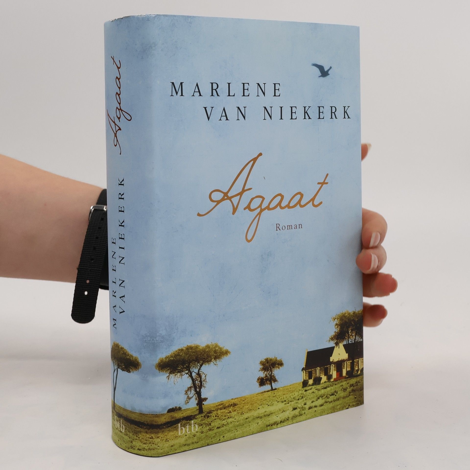 Marlene van Niekerk Agaat
